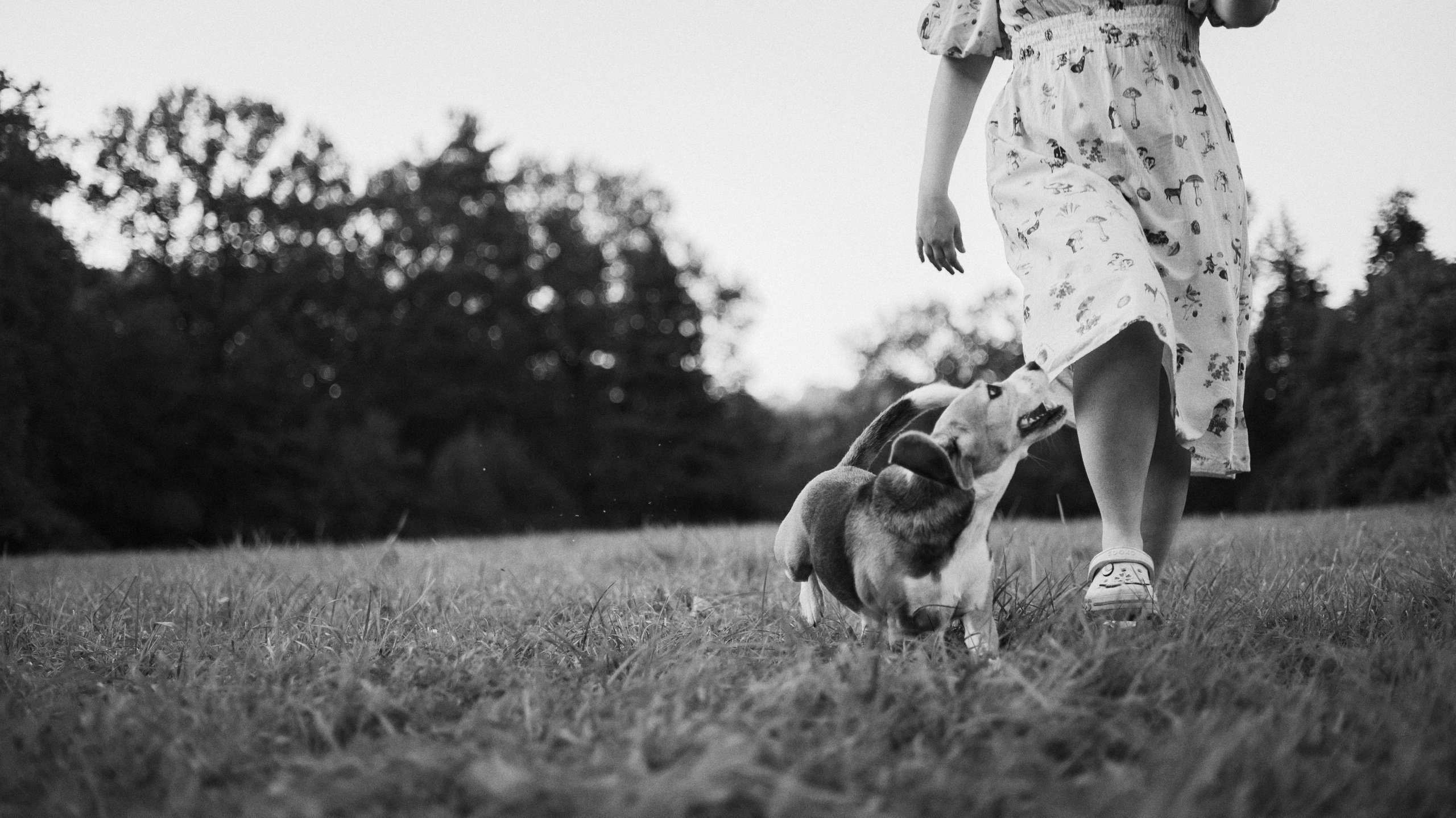 Лиза и Сара. Фотограф-анималист Богданова Полина