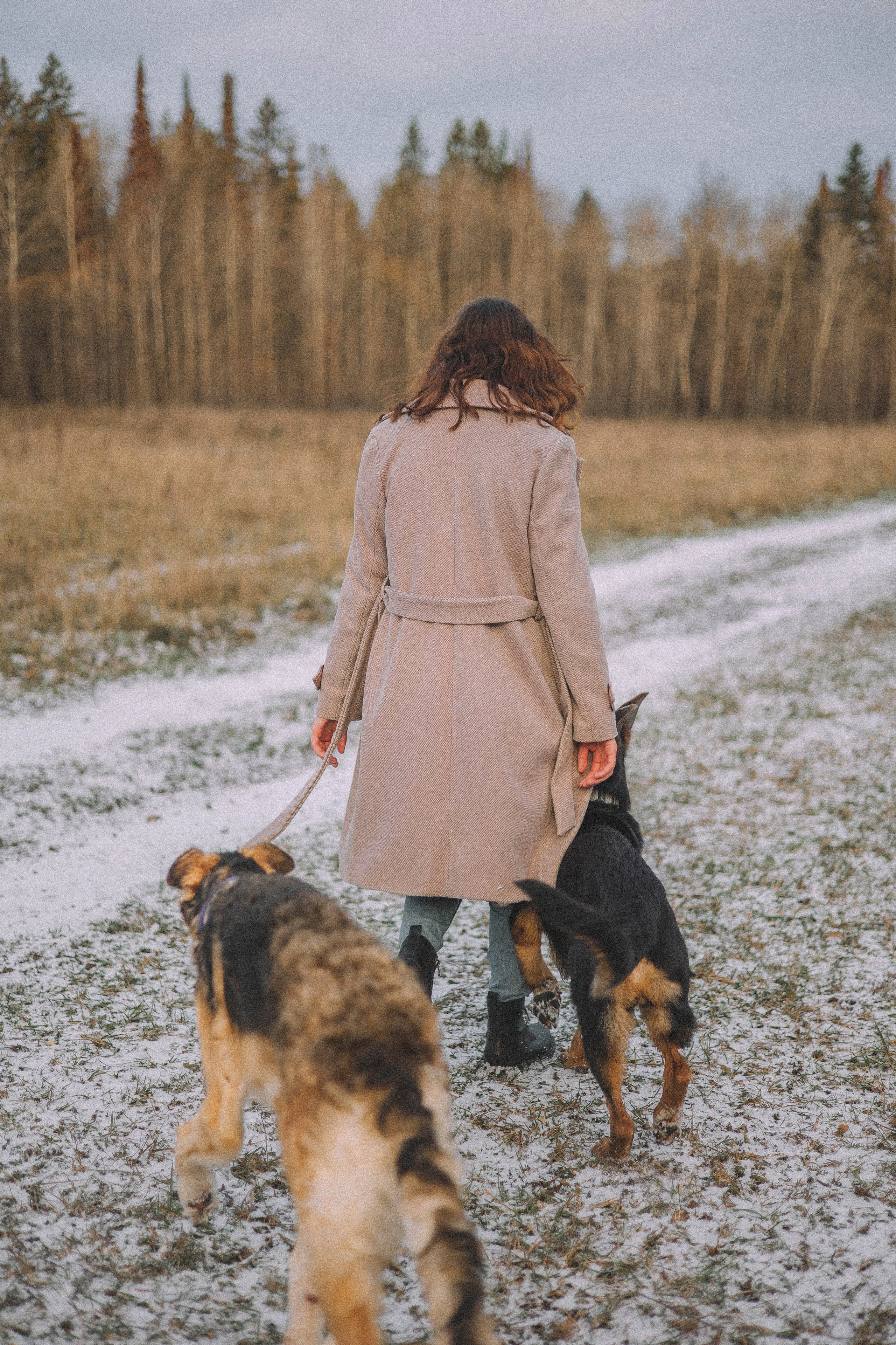 Алена, Леви и Микаса. Фотограф-анималист Богданова Полина