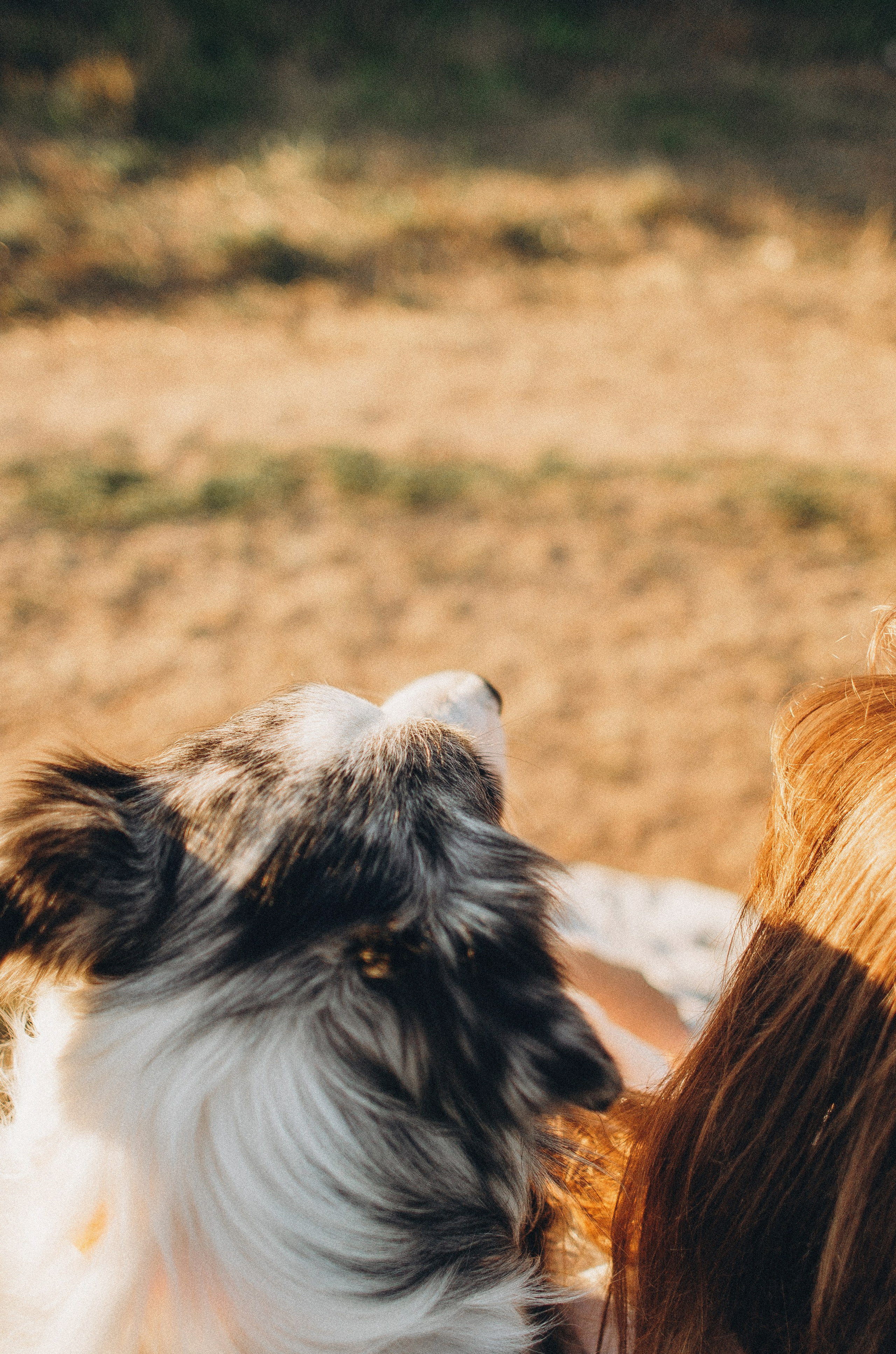 Таня и Бриллиант. Фотограф-анималист Богданова Полина