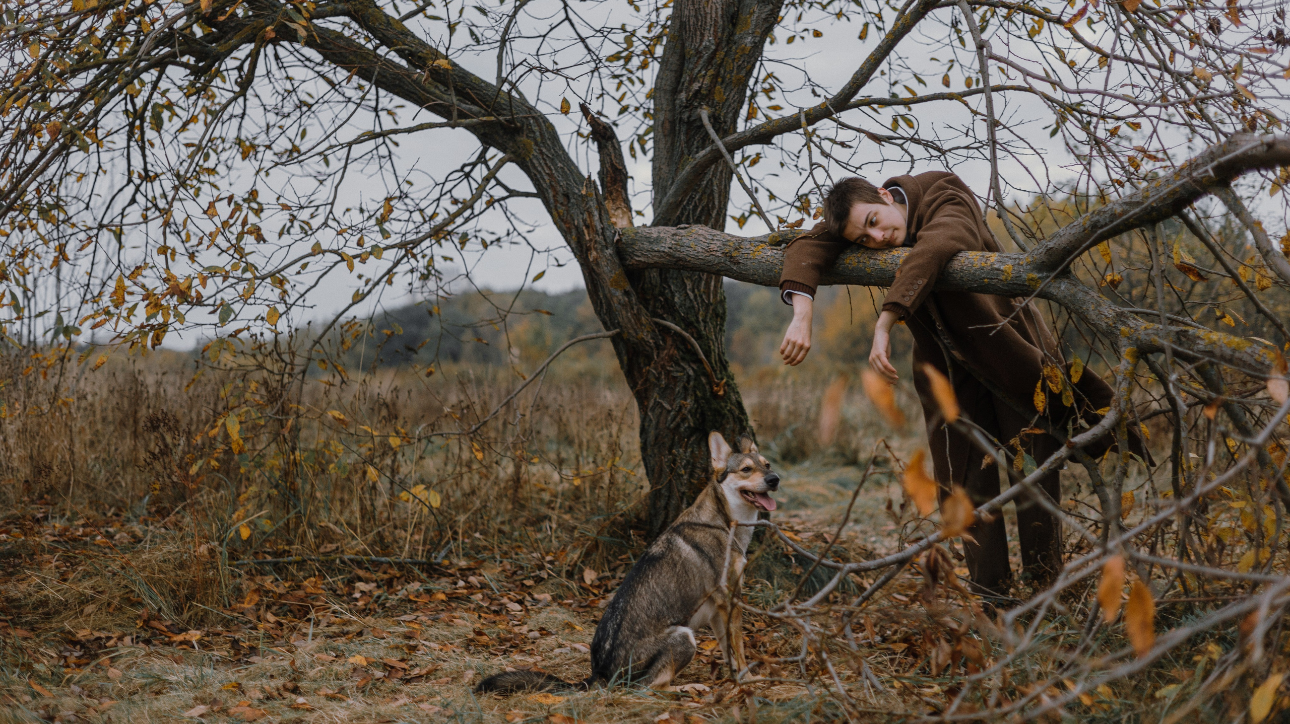 Маша, Катя, Астрид и Мася. Фотограф-анималист Богданова Полина