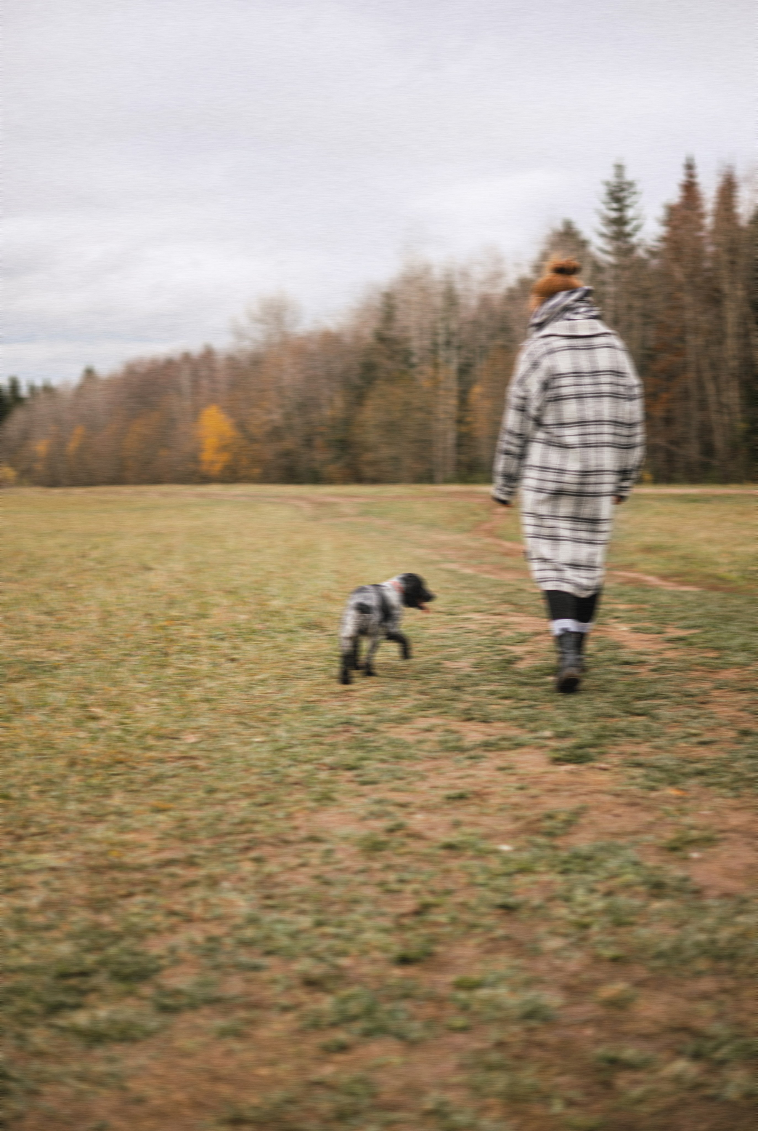 Вика и Ава. Фотограф-анималист Богданова Полина