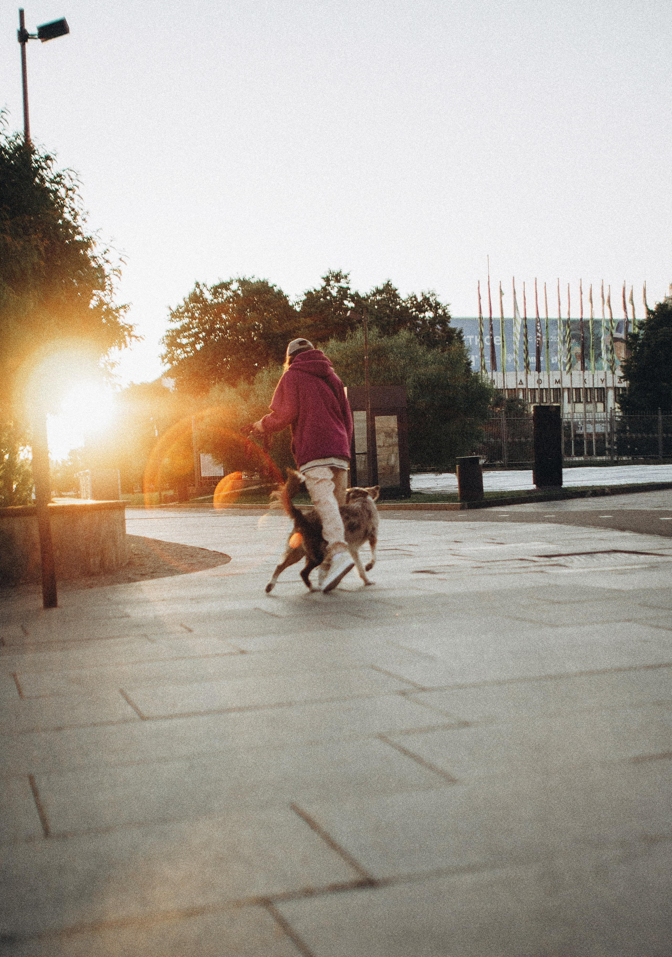 Аня и Дэймон. Фотограф-анималист Богданова Полина