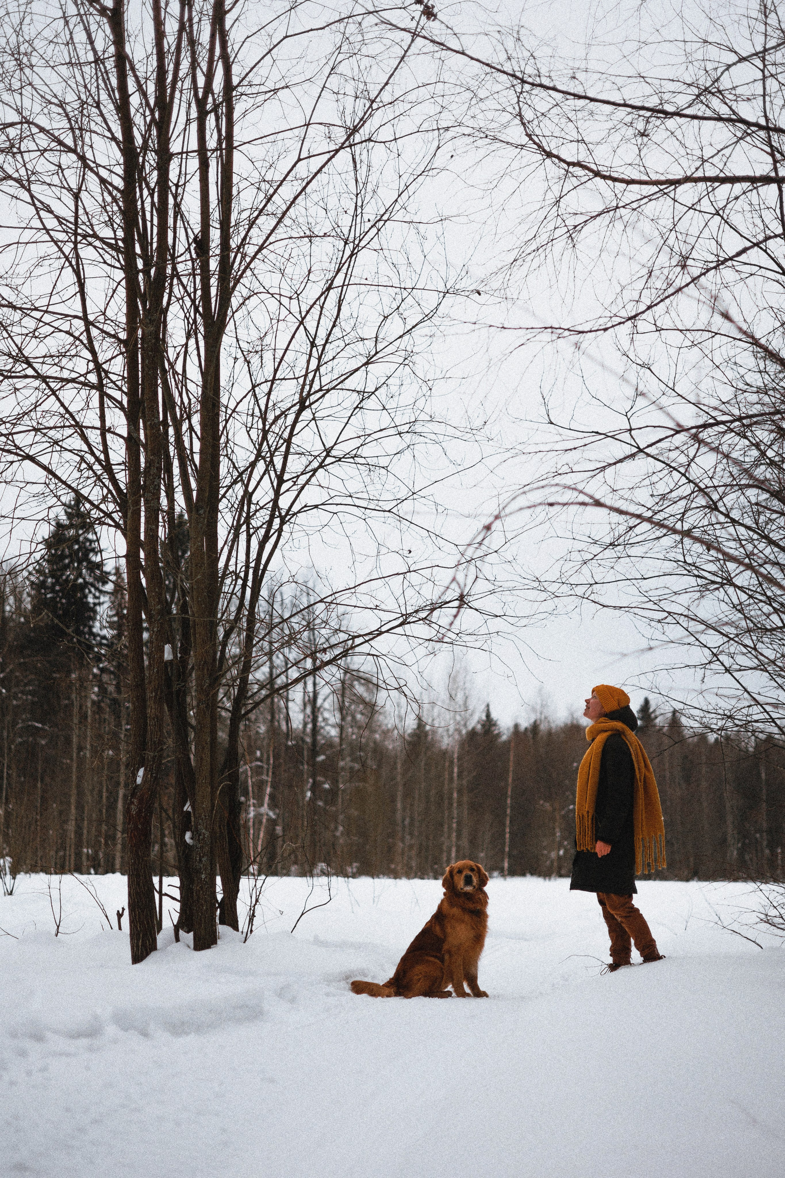 Саша, Юля, Грэй и Джой. Фотограф-анималист Богданова Полина