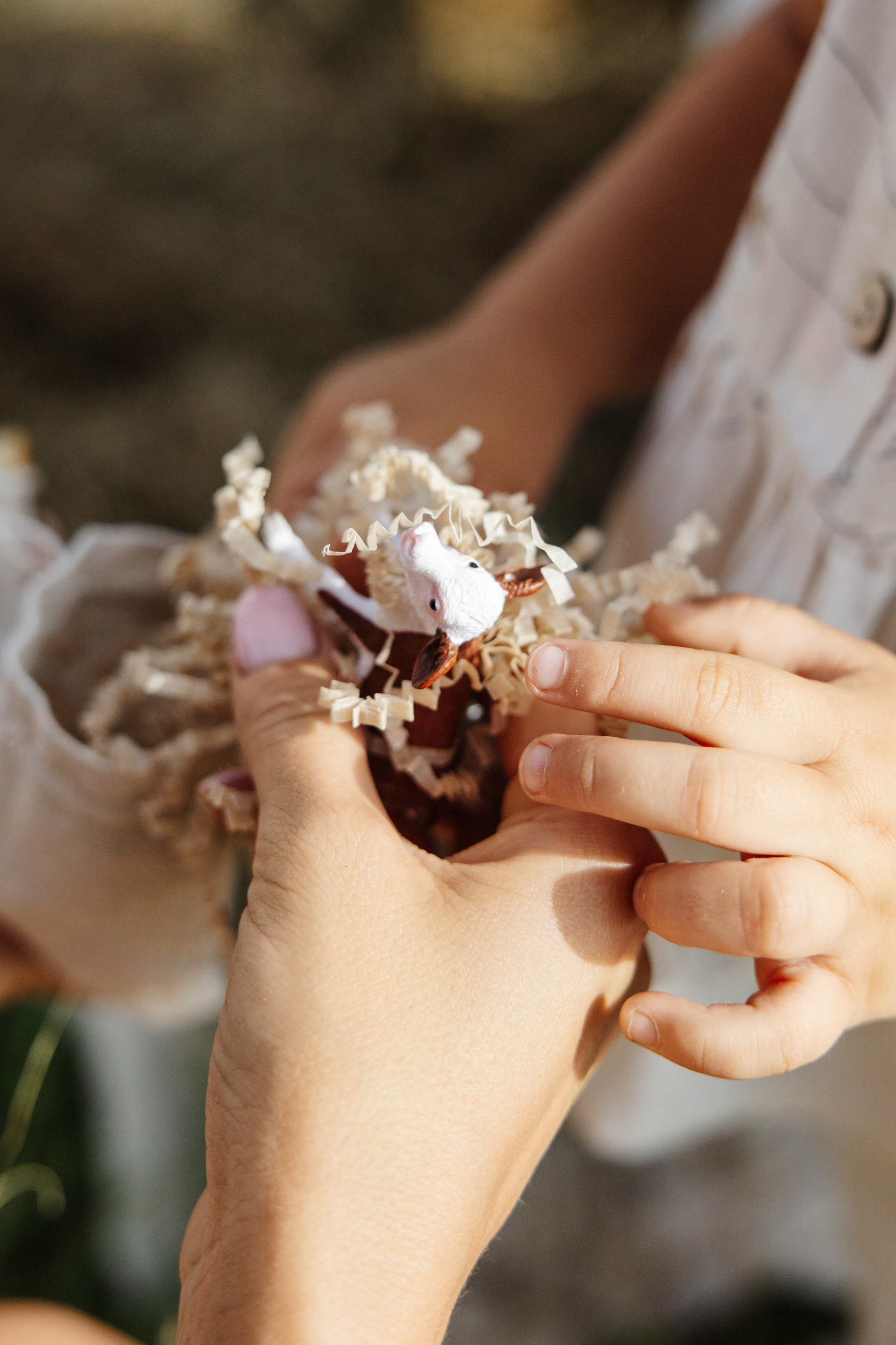 ГЕНДЕР ПАТИ. Фотограф в Красноярске