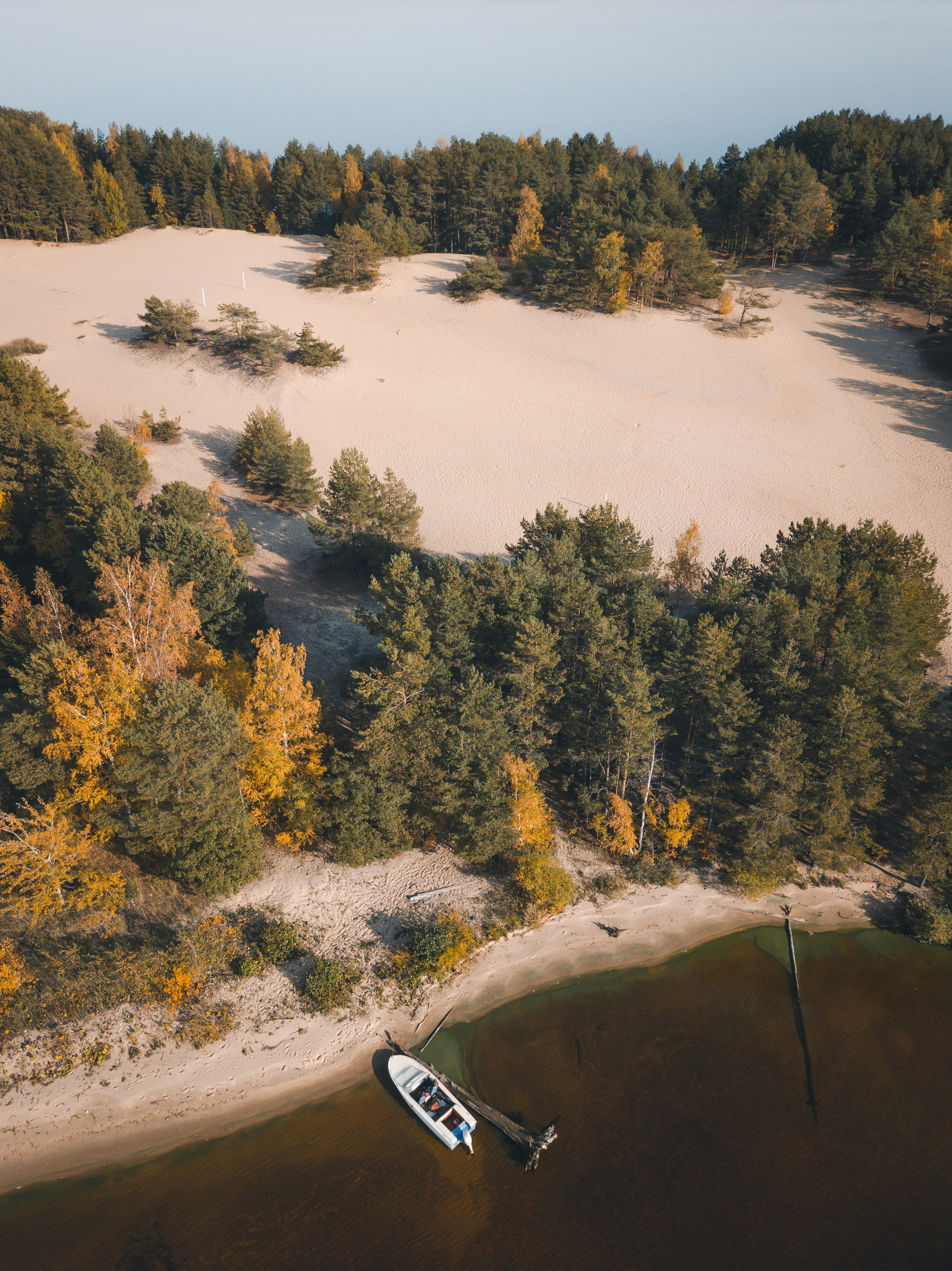 ПРИРОДА. Фотограф Александр Бормотин