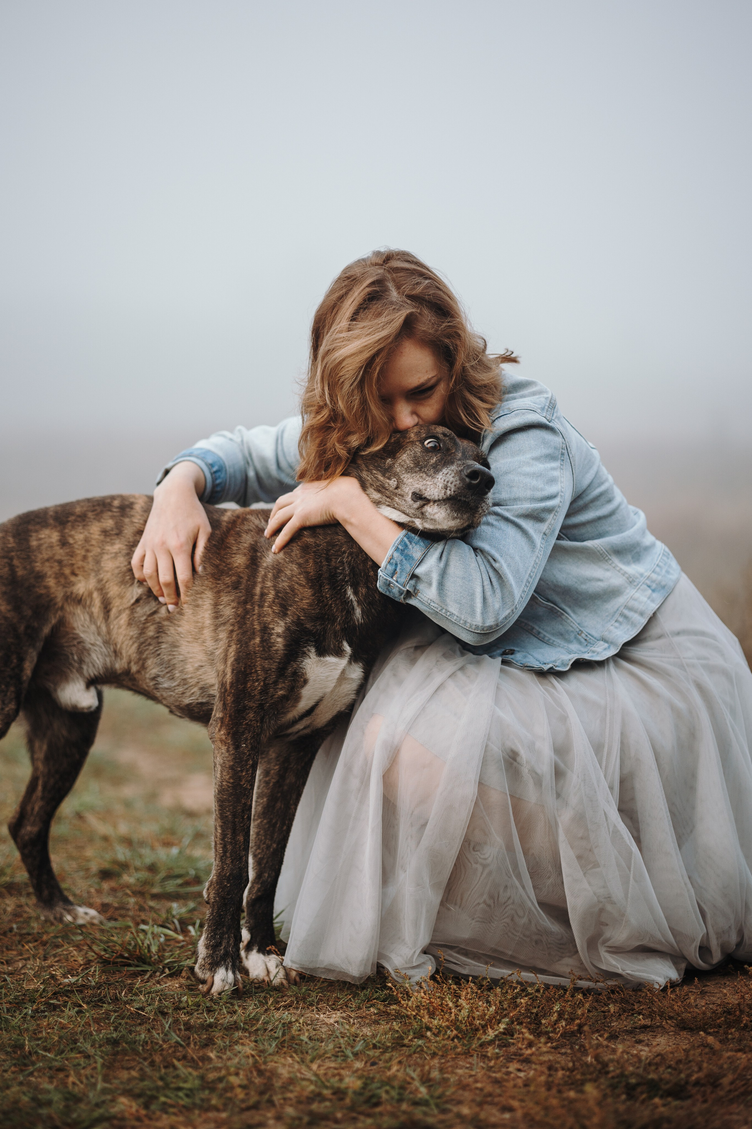 Любовь и ее хвостики. Фотограф — Анималист | Санкт-Петербург