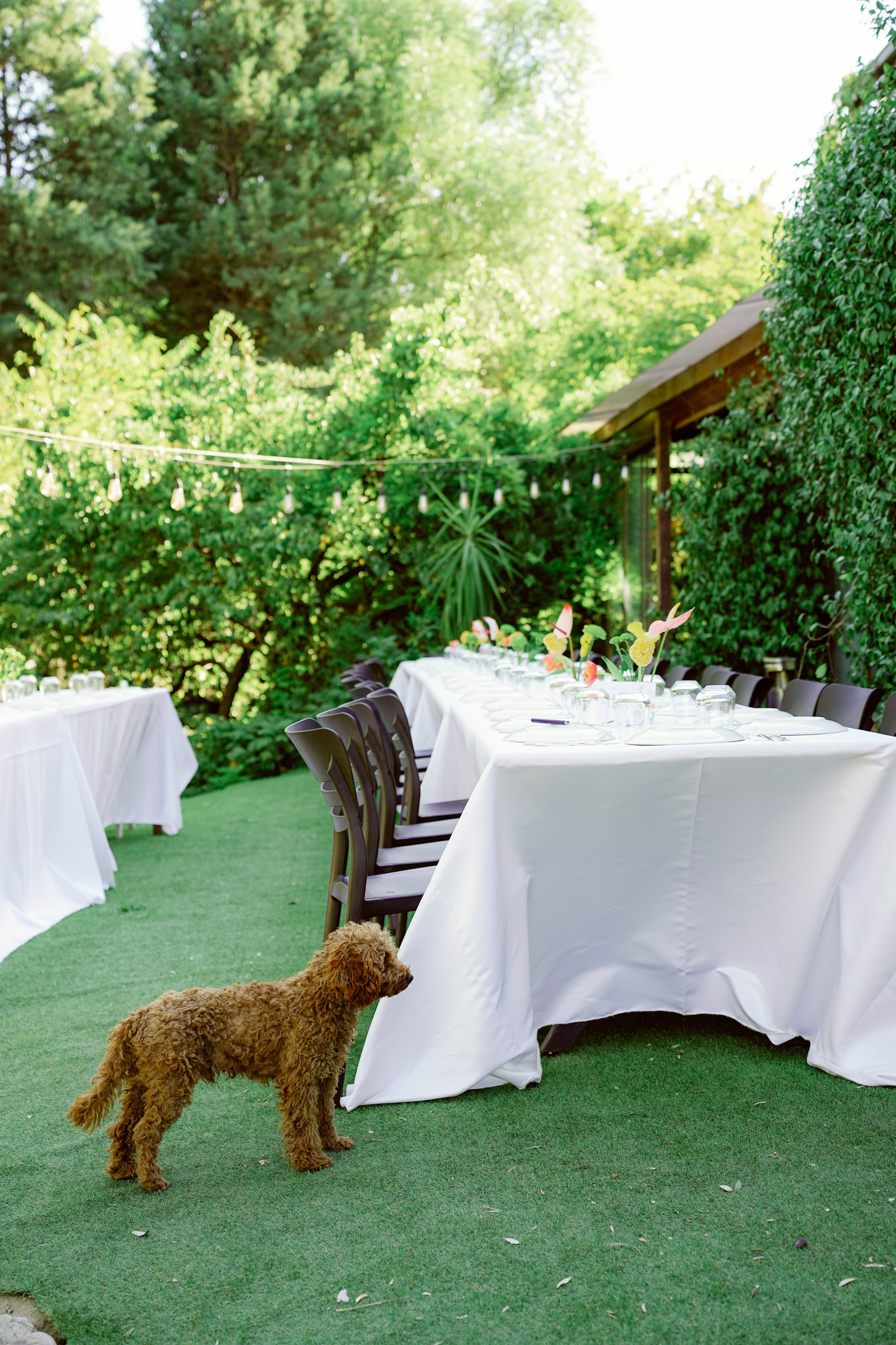Maria & Burak. İrandek. Fotoğrafçı. İzmir