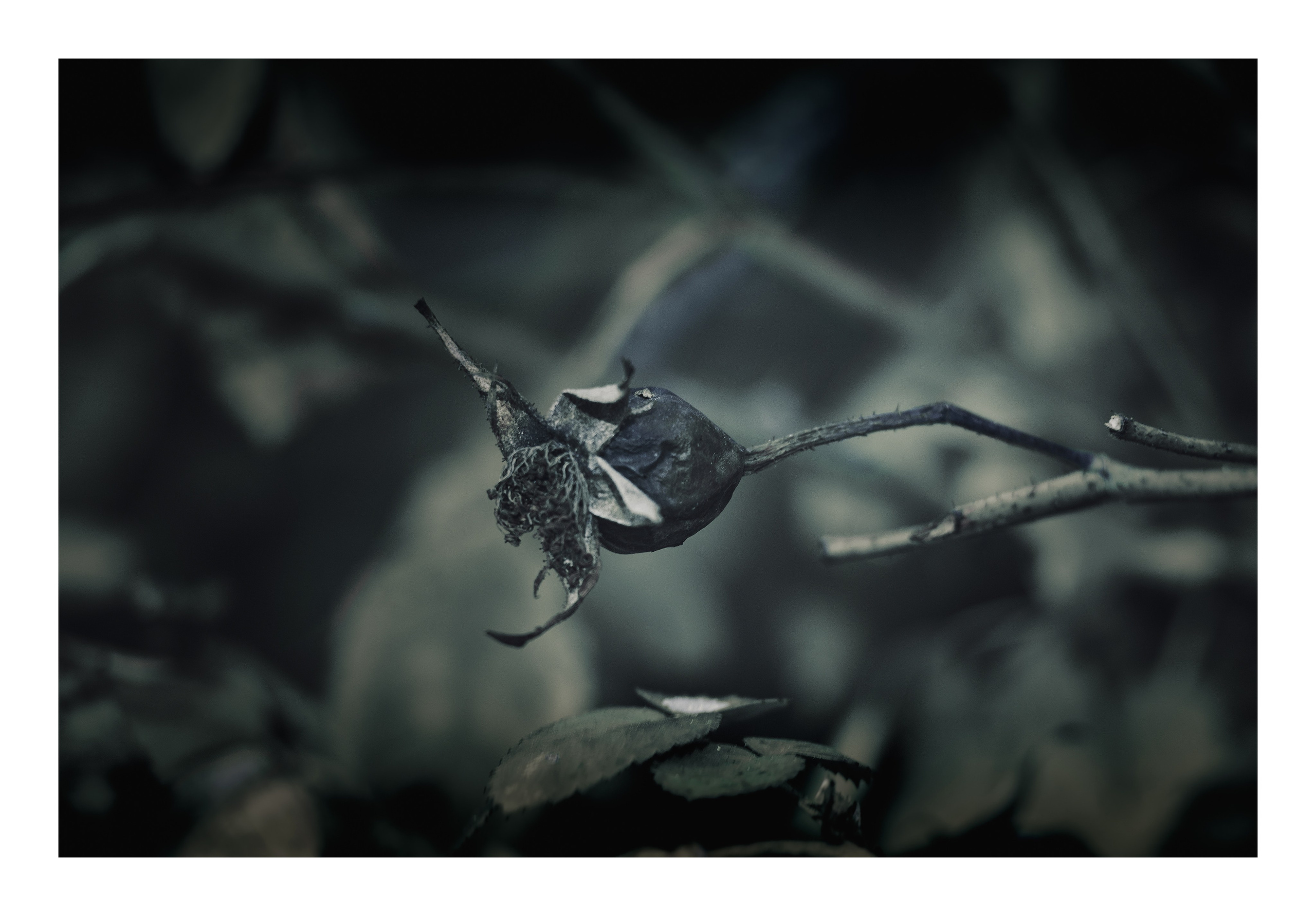 Фотопринты А3. Фотопроект «Территории»