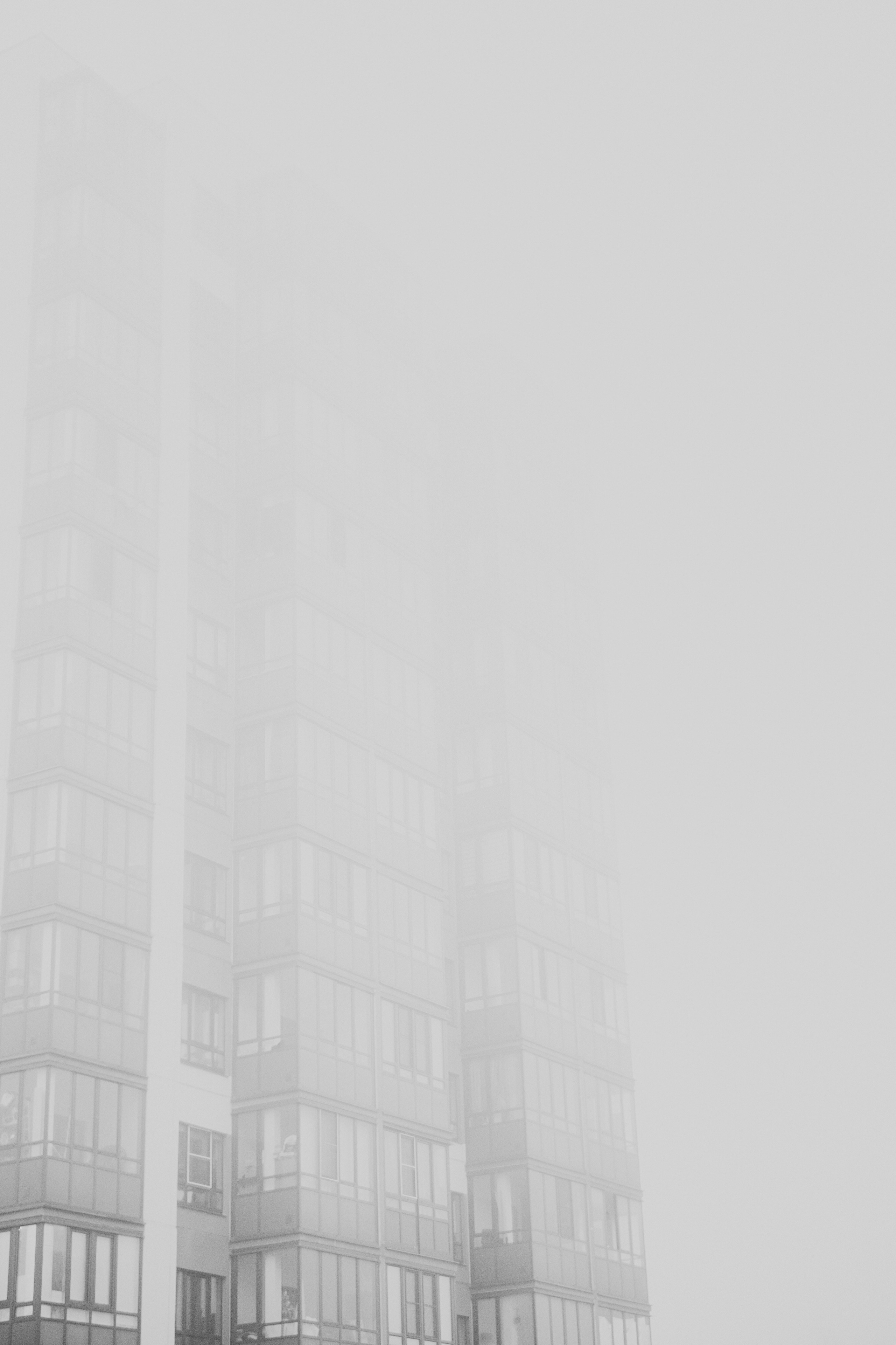 Никита. Портретный фотограф Юлия Фёдорова