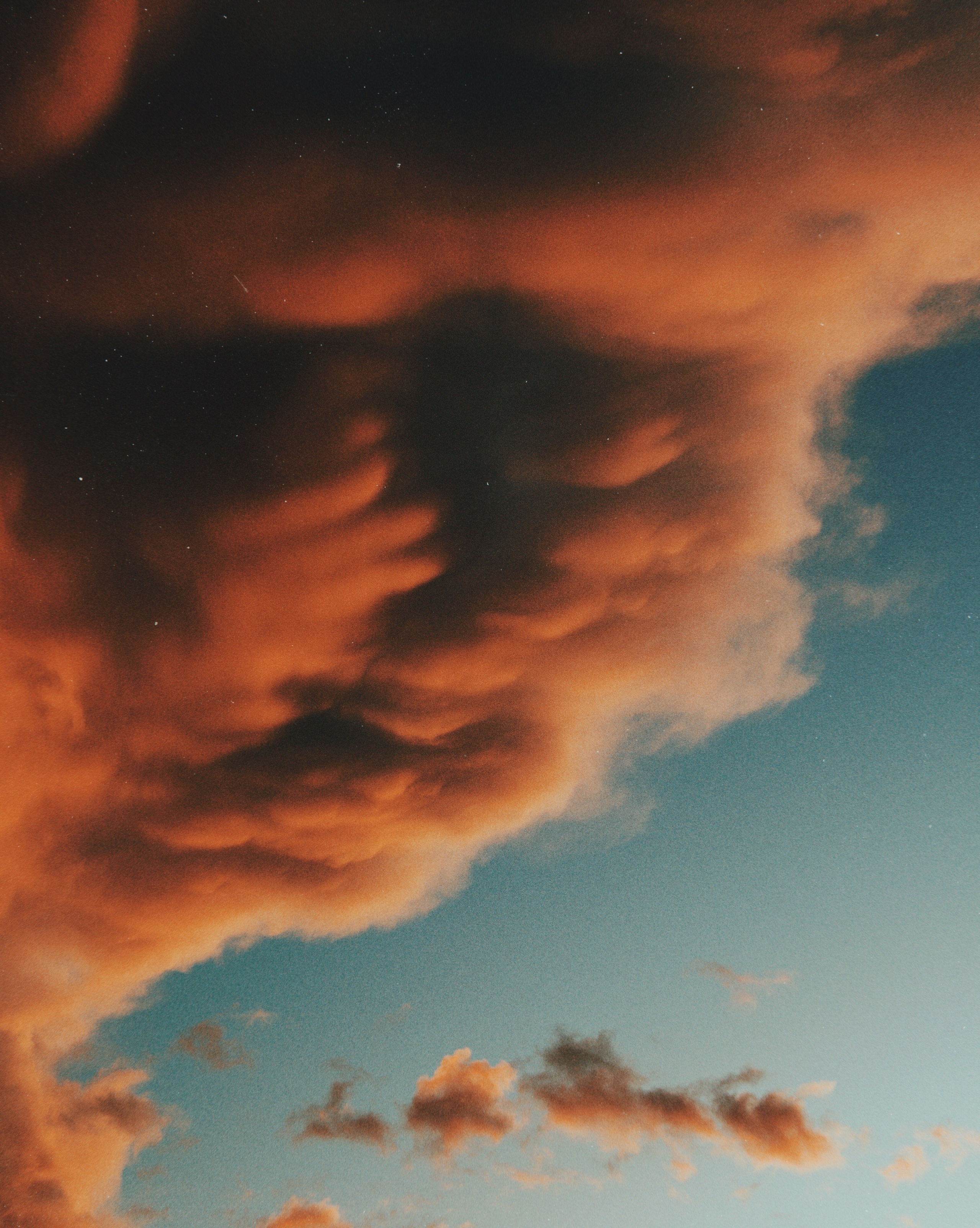 What is beauty | for the VOGUE competition. Egor Plakhotin Photography