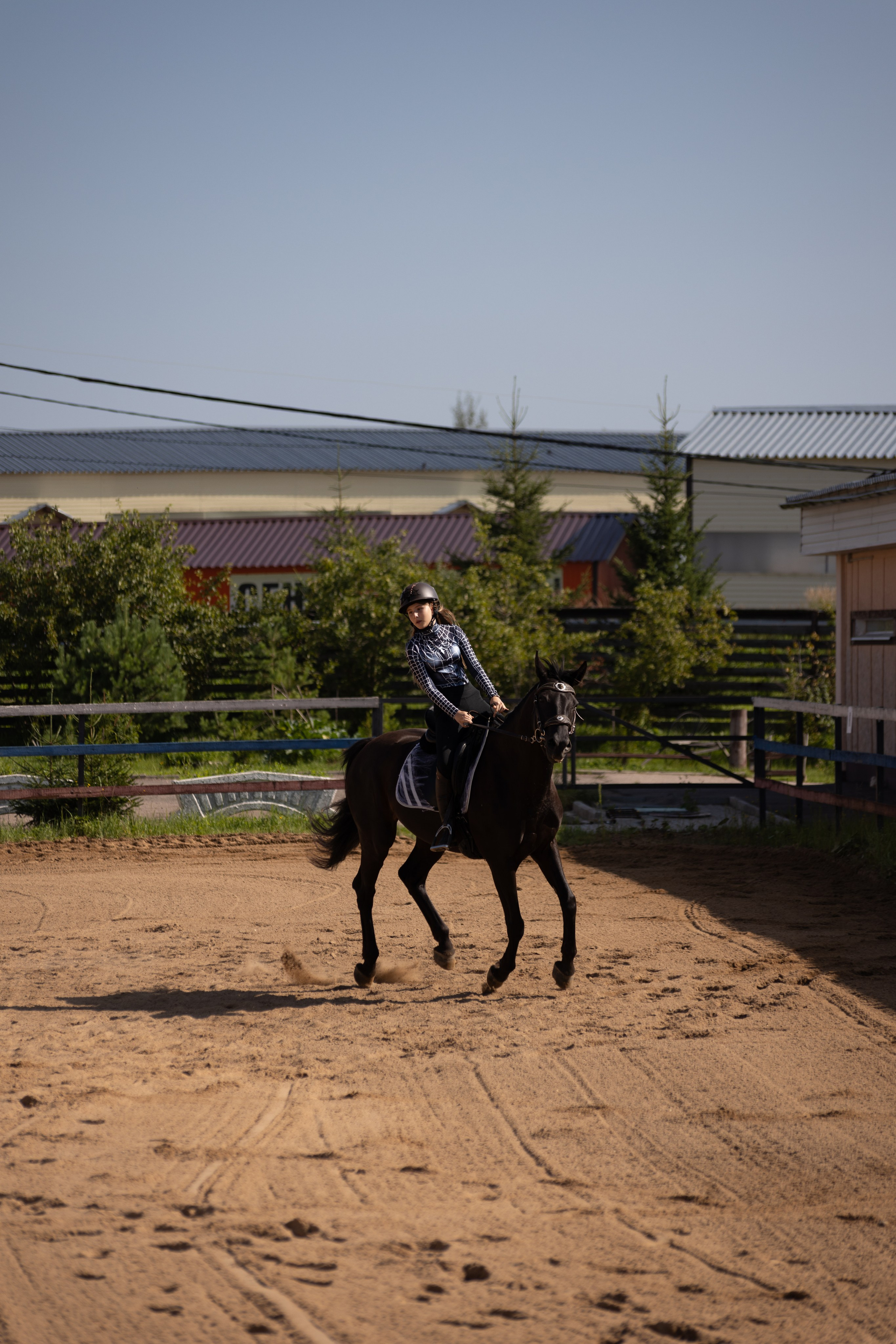 Конюшня. Фотограф в Москве и Истре