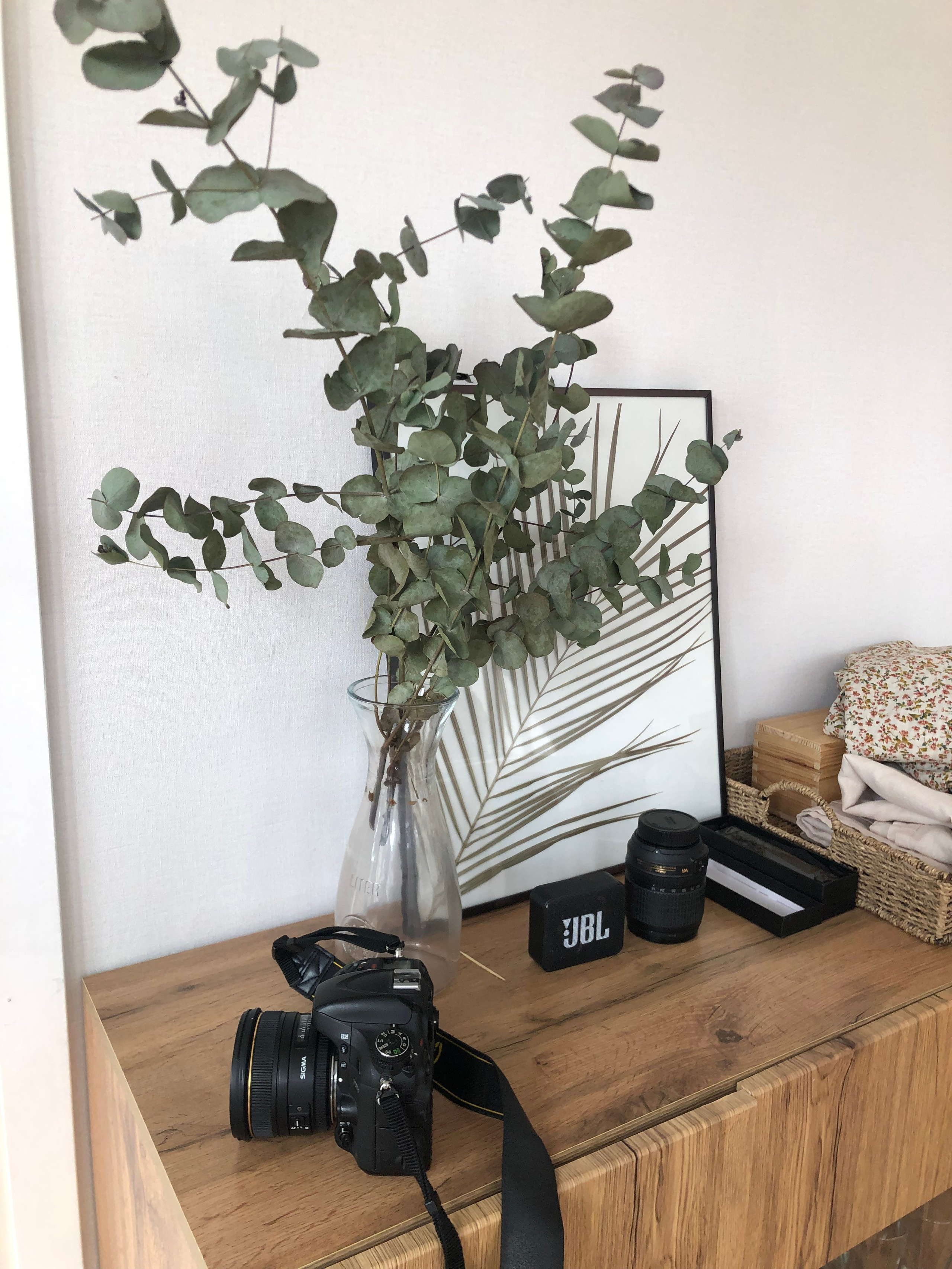 Апрель. Семейный, Свадебный фотограф СПБ Питер— Романова Екатерина