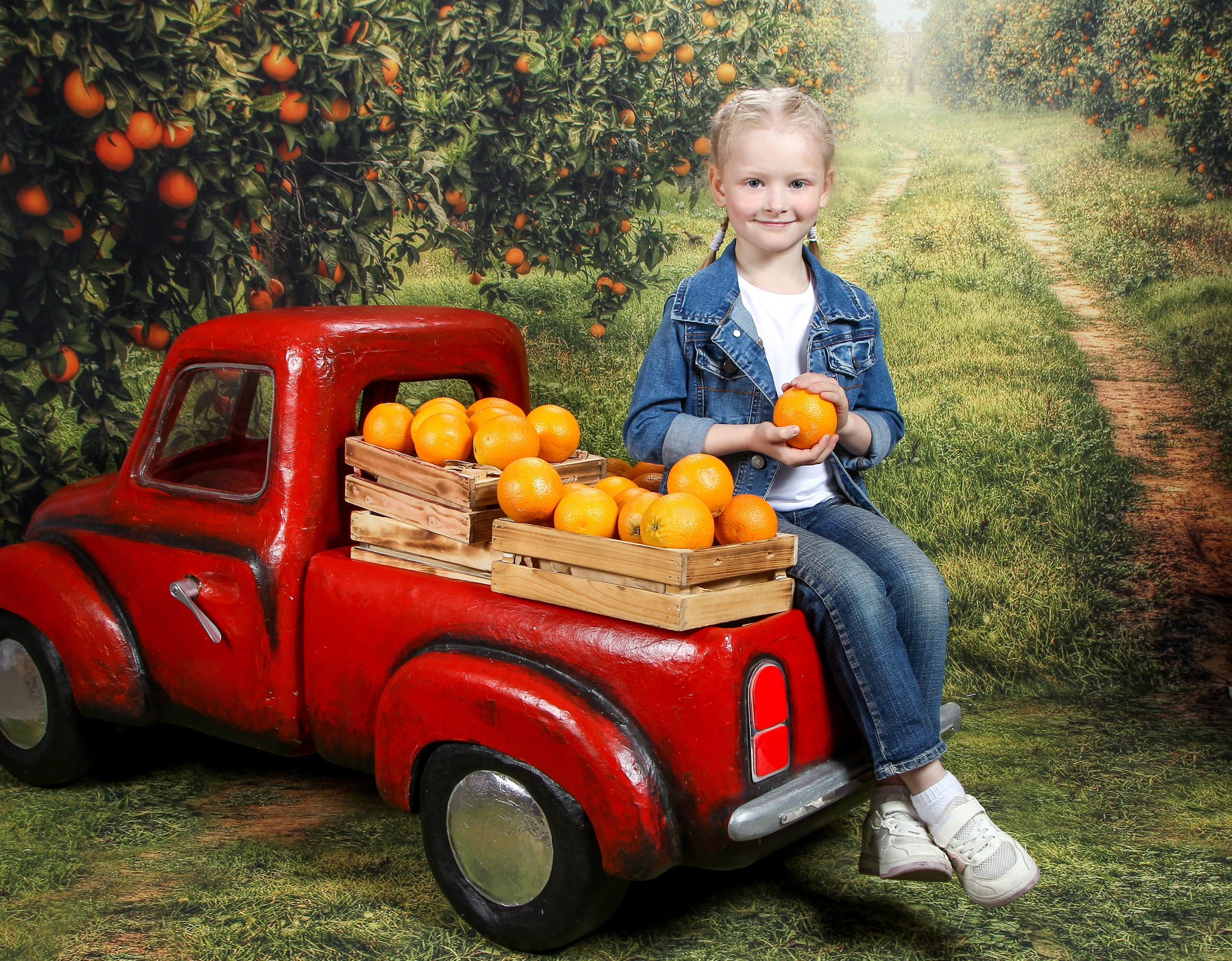 Портреты галерея дс. Три Жирафа