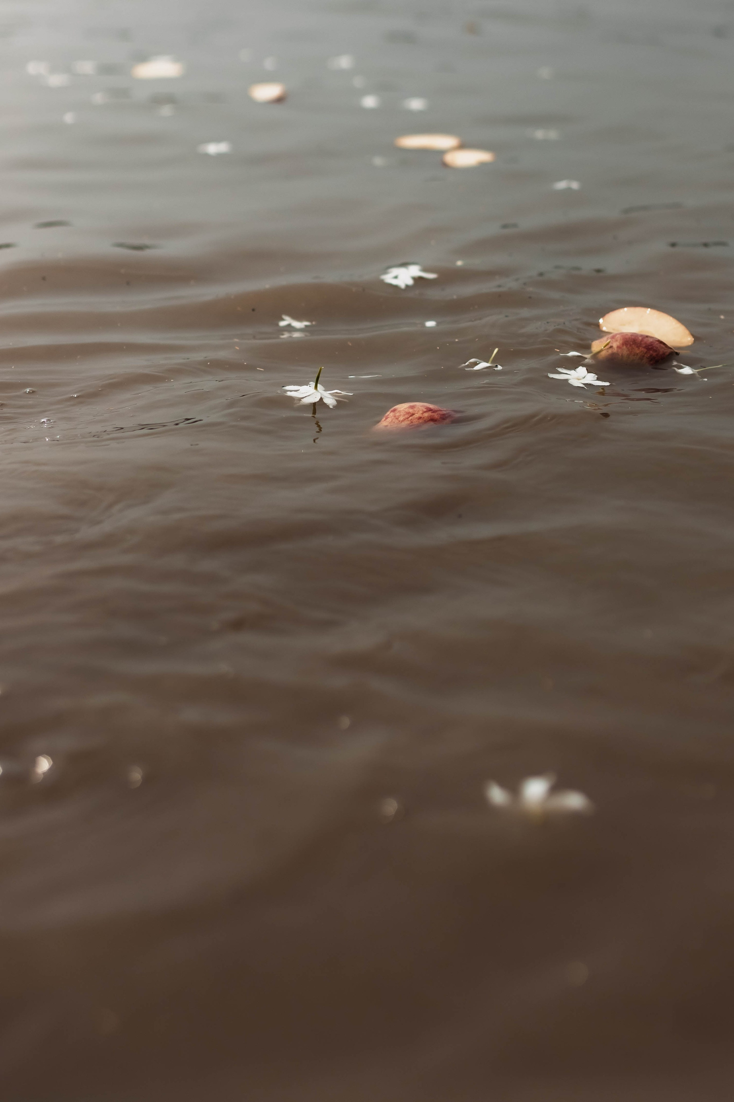 Pitri Paksha yagyas & poojas Devraha Baba ji ashram. Mariam Bagdasaryan