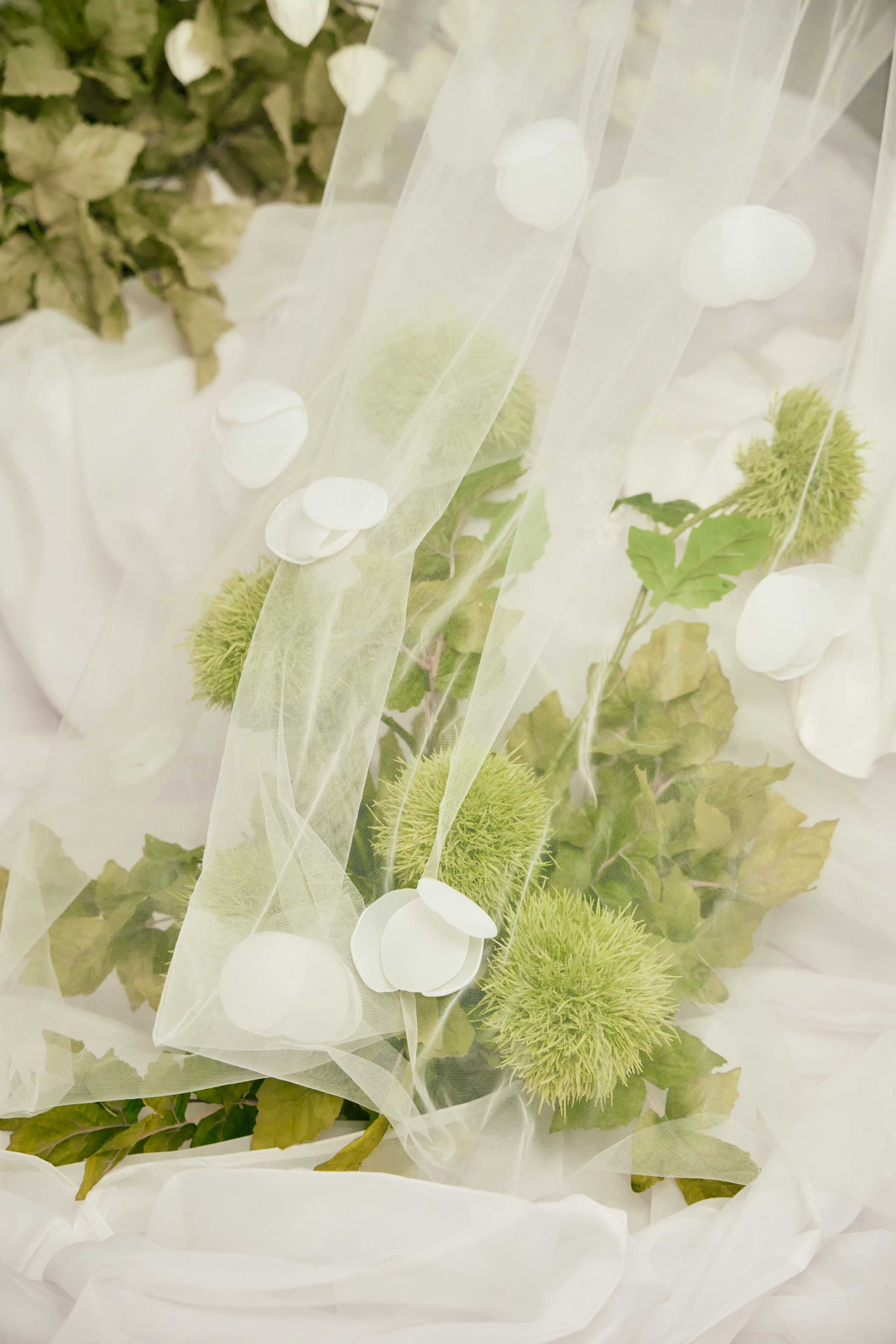 Алина и Джамбулат. Свадебный фотограф в Майкопе