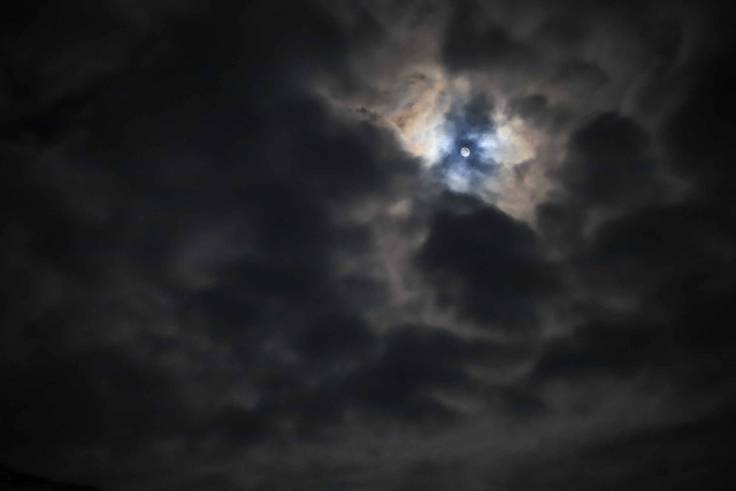 Фото с прогулок и с поездок на Кольский полуостров