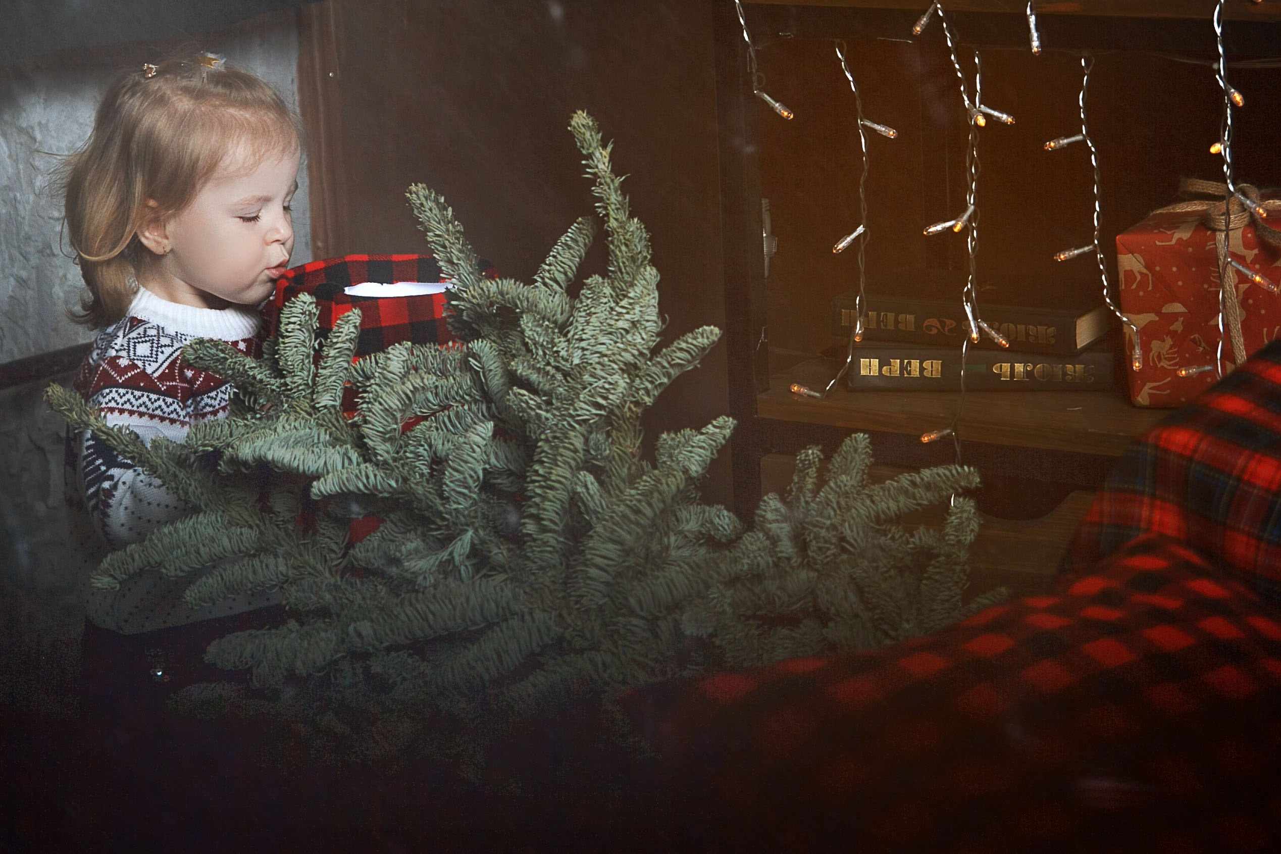 Семейная и Беременность. Свадебный фотограф