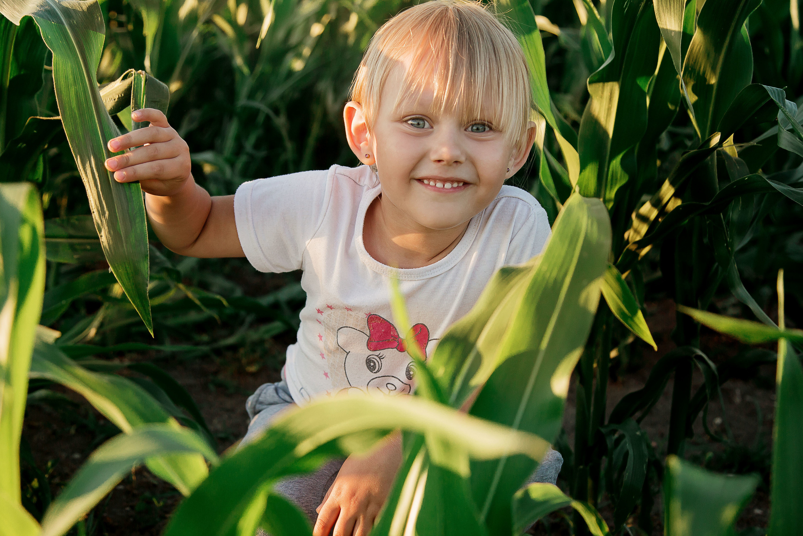 Семейная и Беременность. Свадебный фотограф
