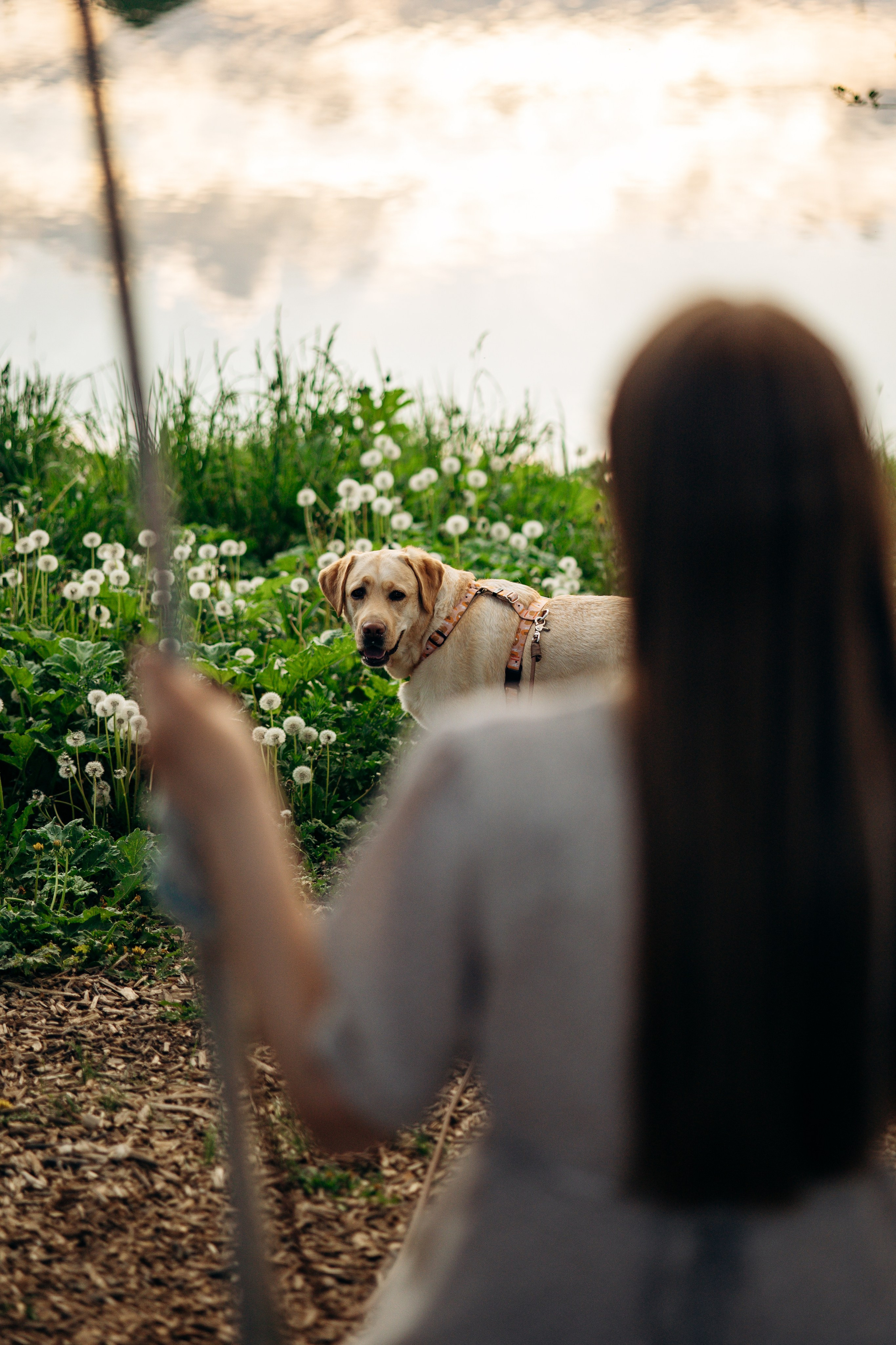 Шани и ее семья. Фотограф — Анималист | Санкт-Петербург