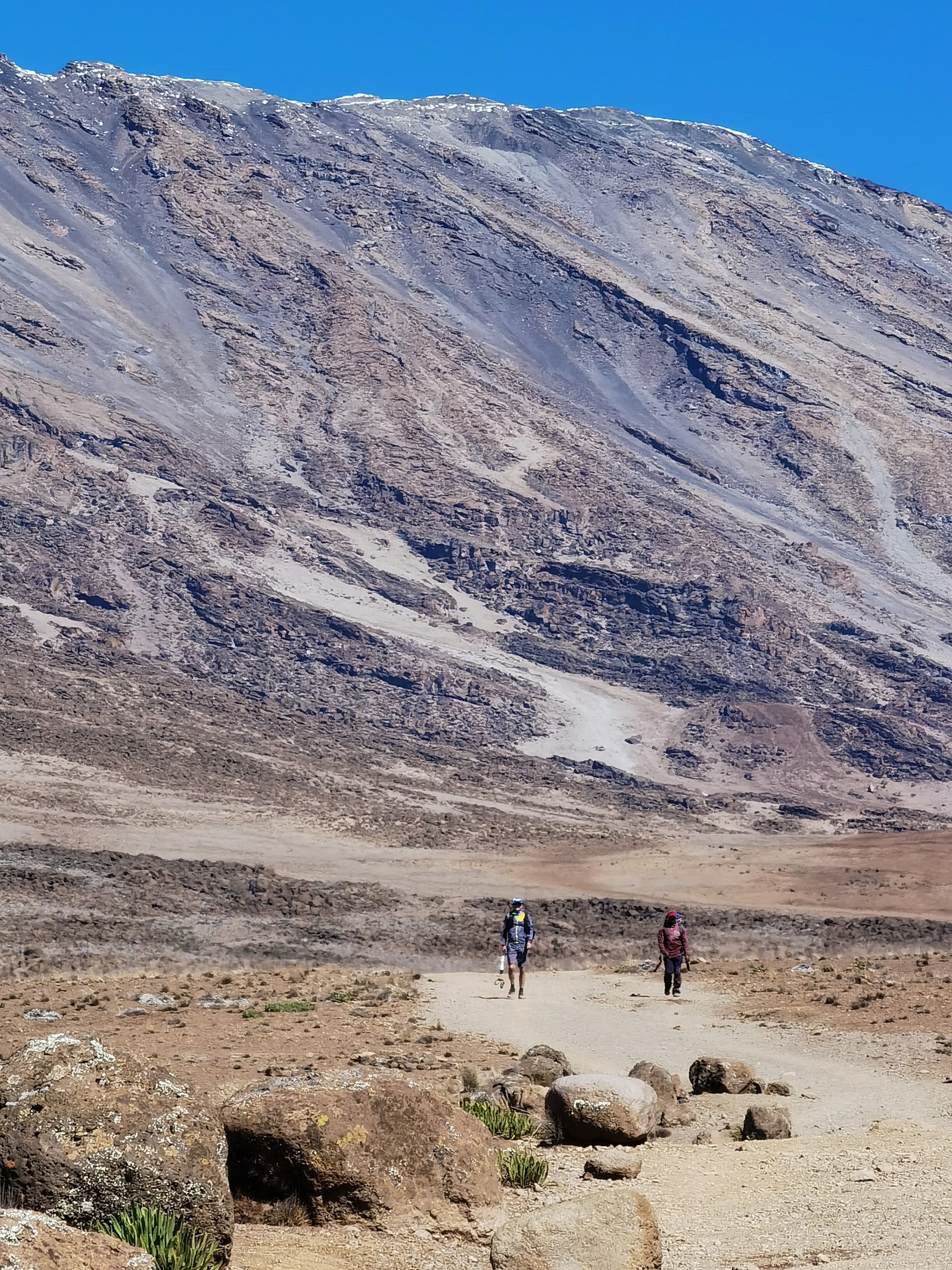 Килиманджаро