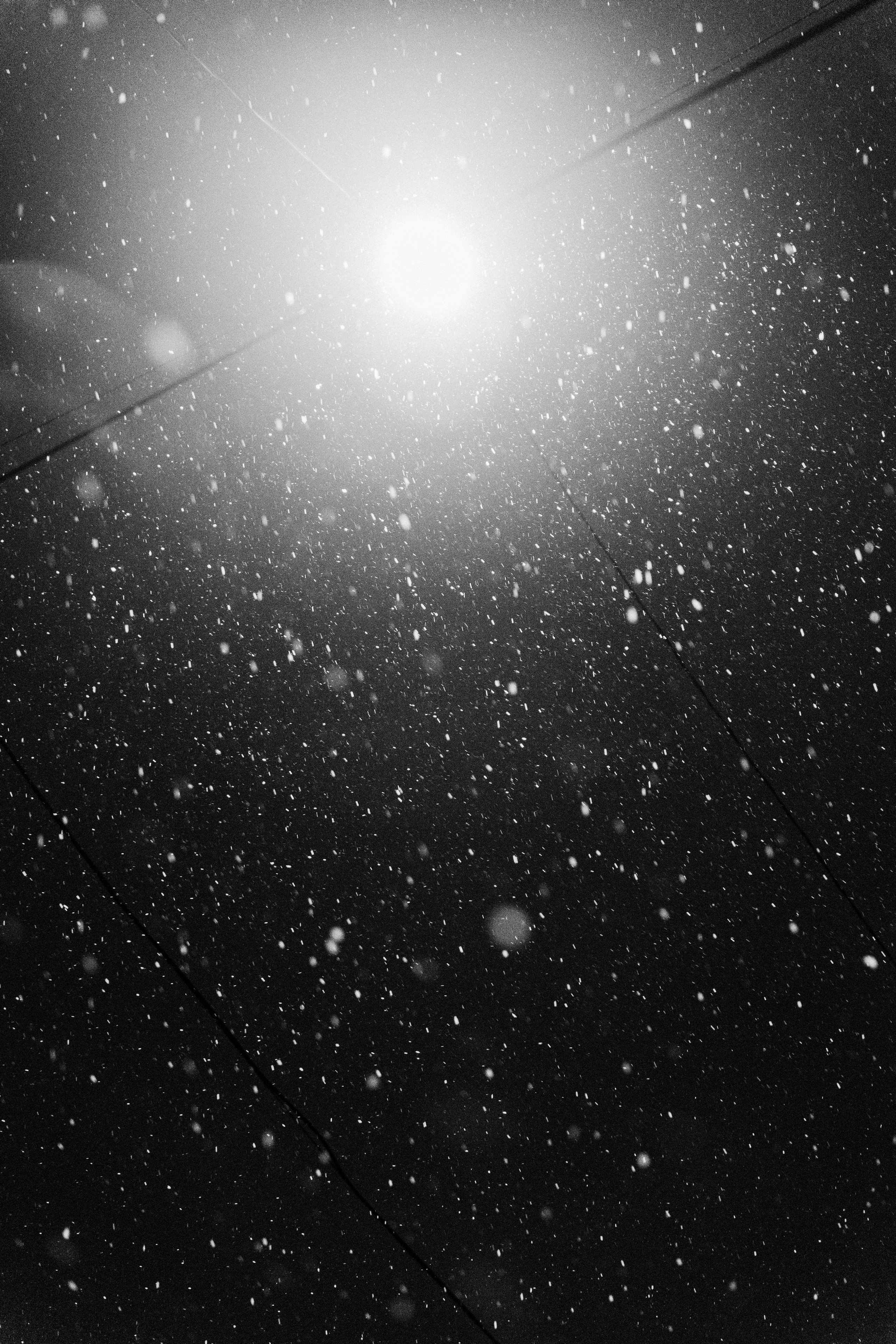 OVERLOCK | French DIsco. Фотограф в Воронеже Ольга Космодемьянская