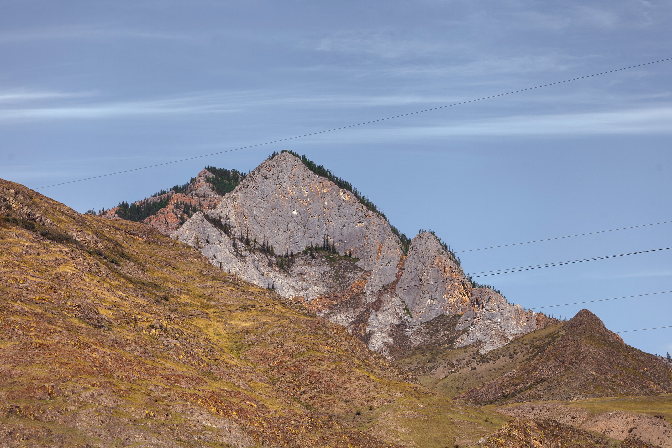 АЛТАЙ 2024 / ALTAI 2024. Главная