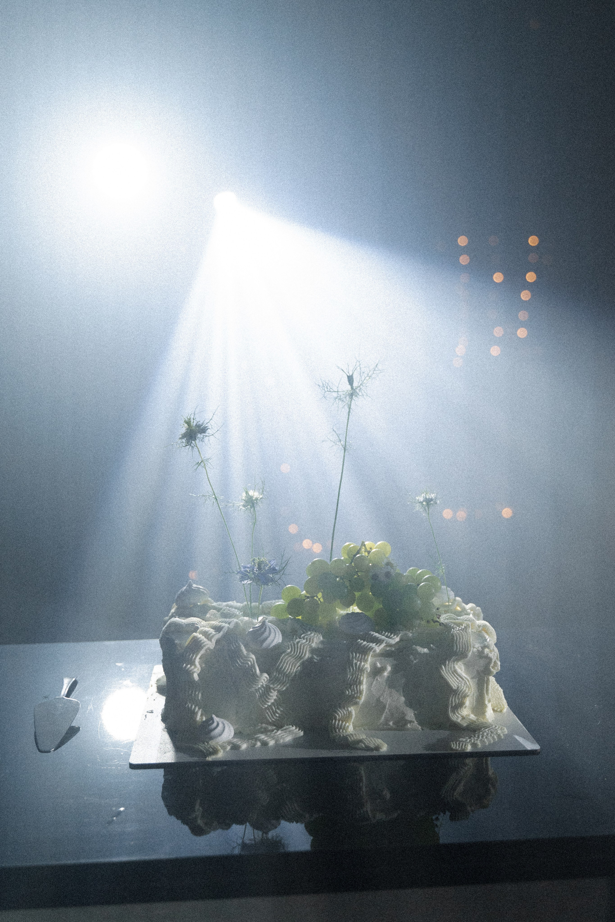 Екатерина и Александр. Фотограф в Москве Наталия Варакина