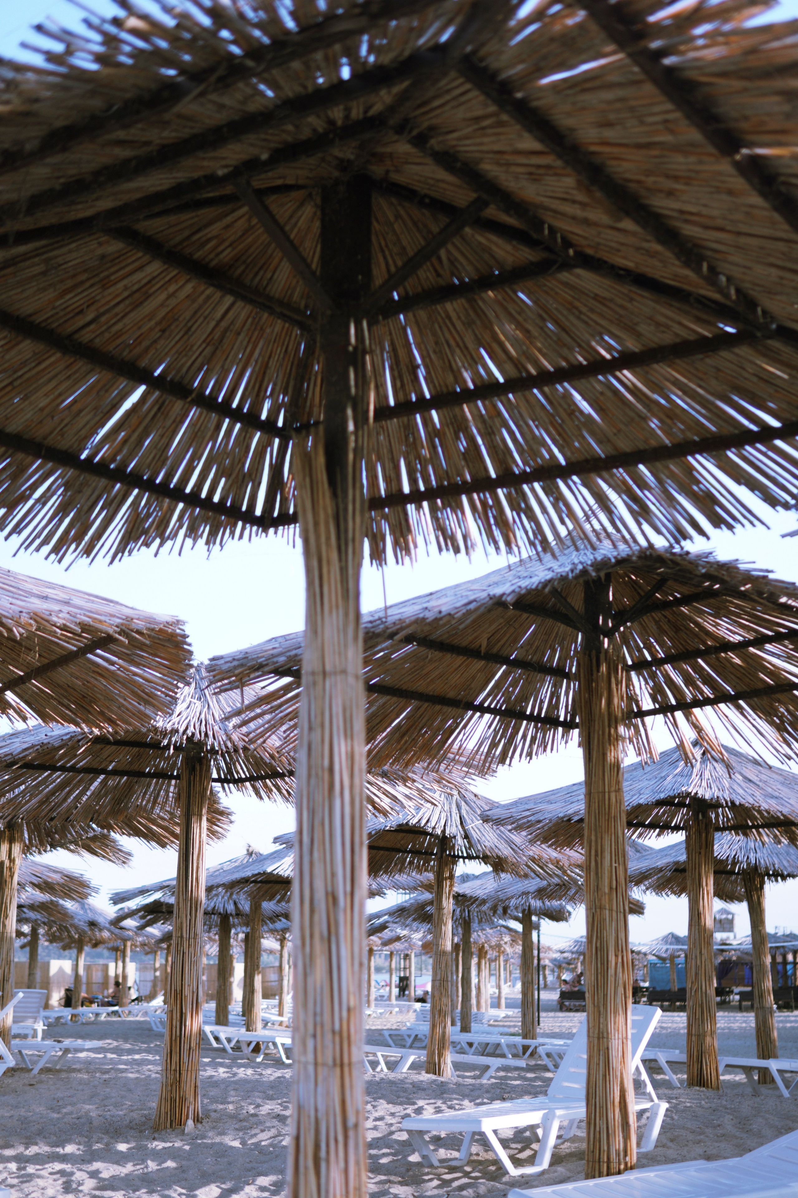 Love story у моря в Ростове-на-Дону за городом. Фотограф в Ростове-на-Дону Марина Мальцева