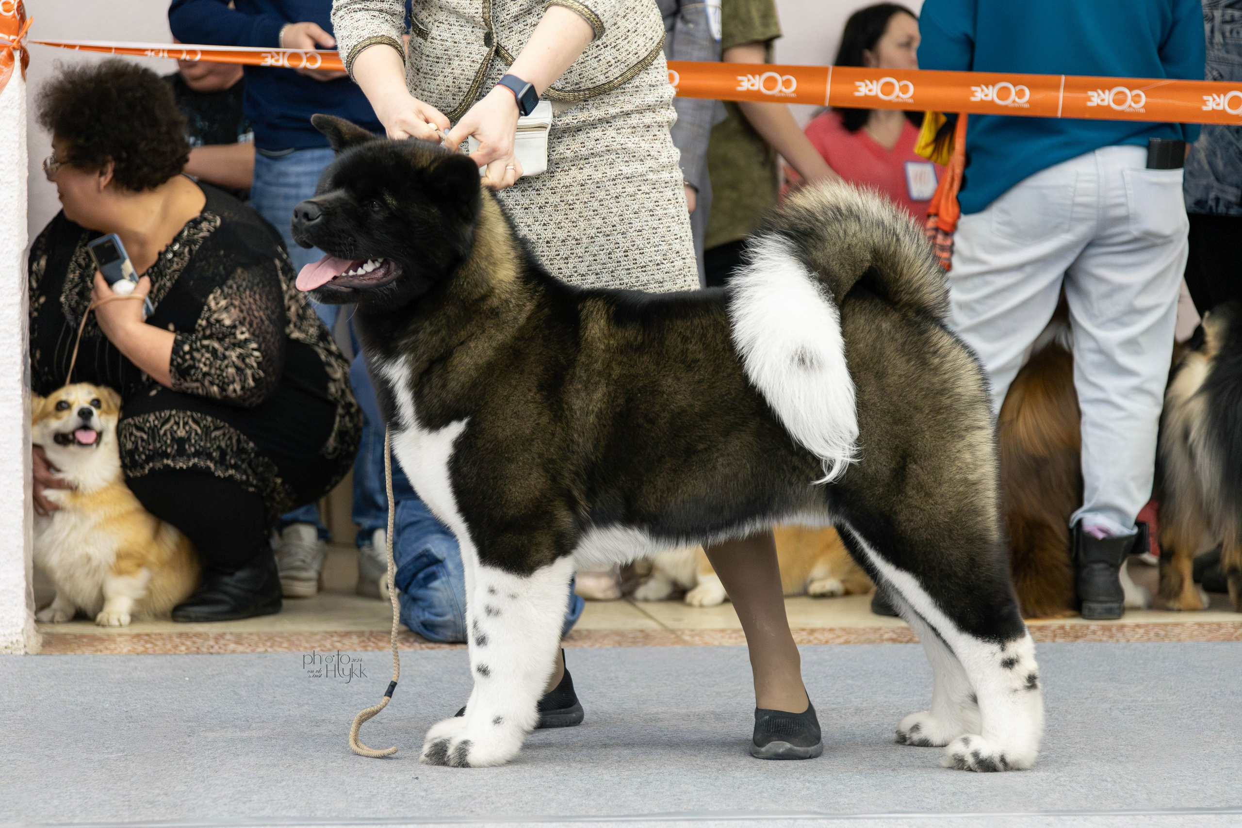 31 марта 2024, Выставка РКФ, г. Пермь. Htykk_photo