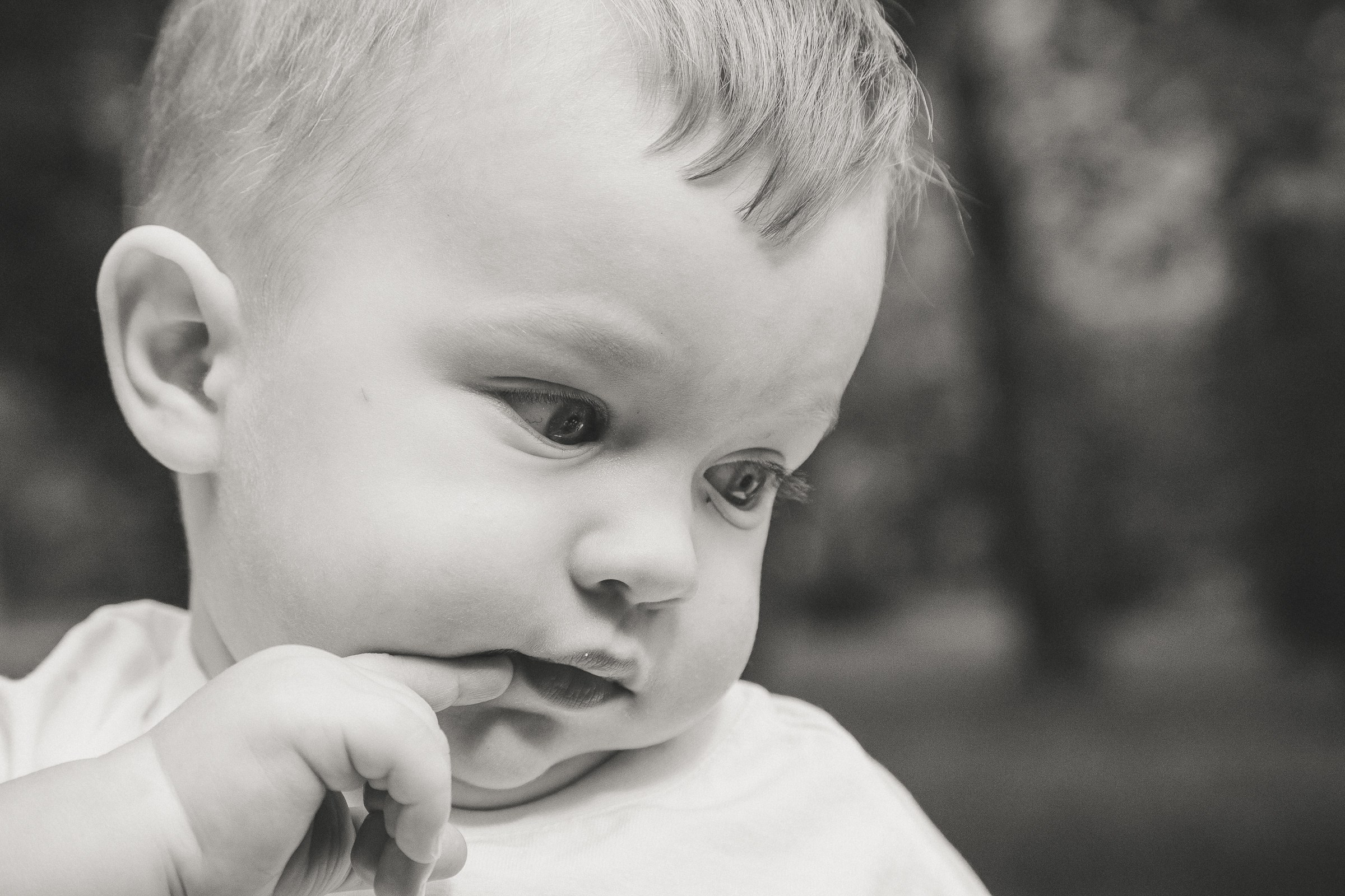 Праздничный пикник. Репортажный и семейный фотограф в Москве