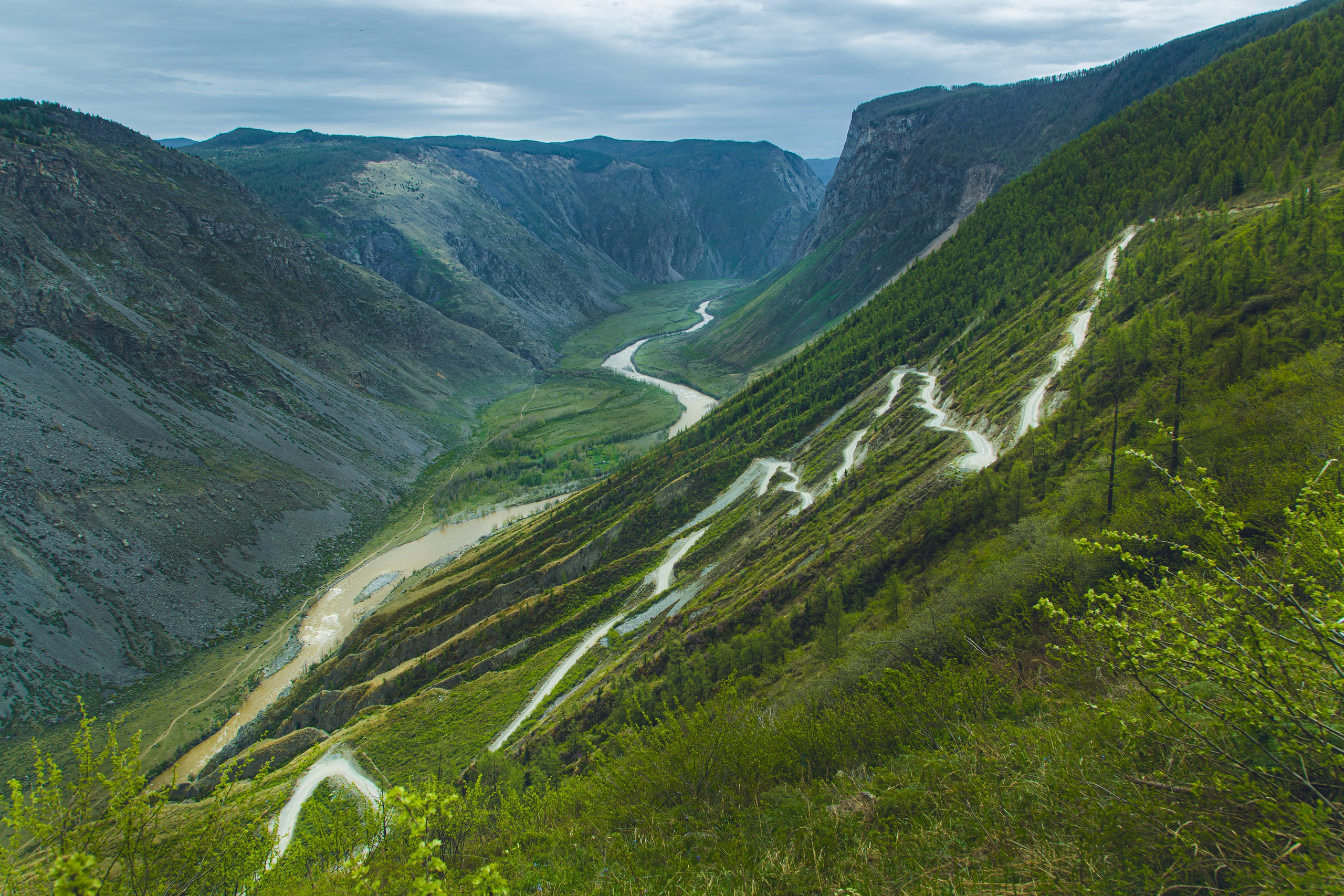 Алтай (май 2024). Фотограф ваших событий в Красноярске — Макс Захарченко