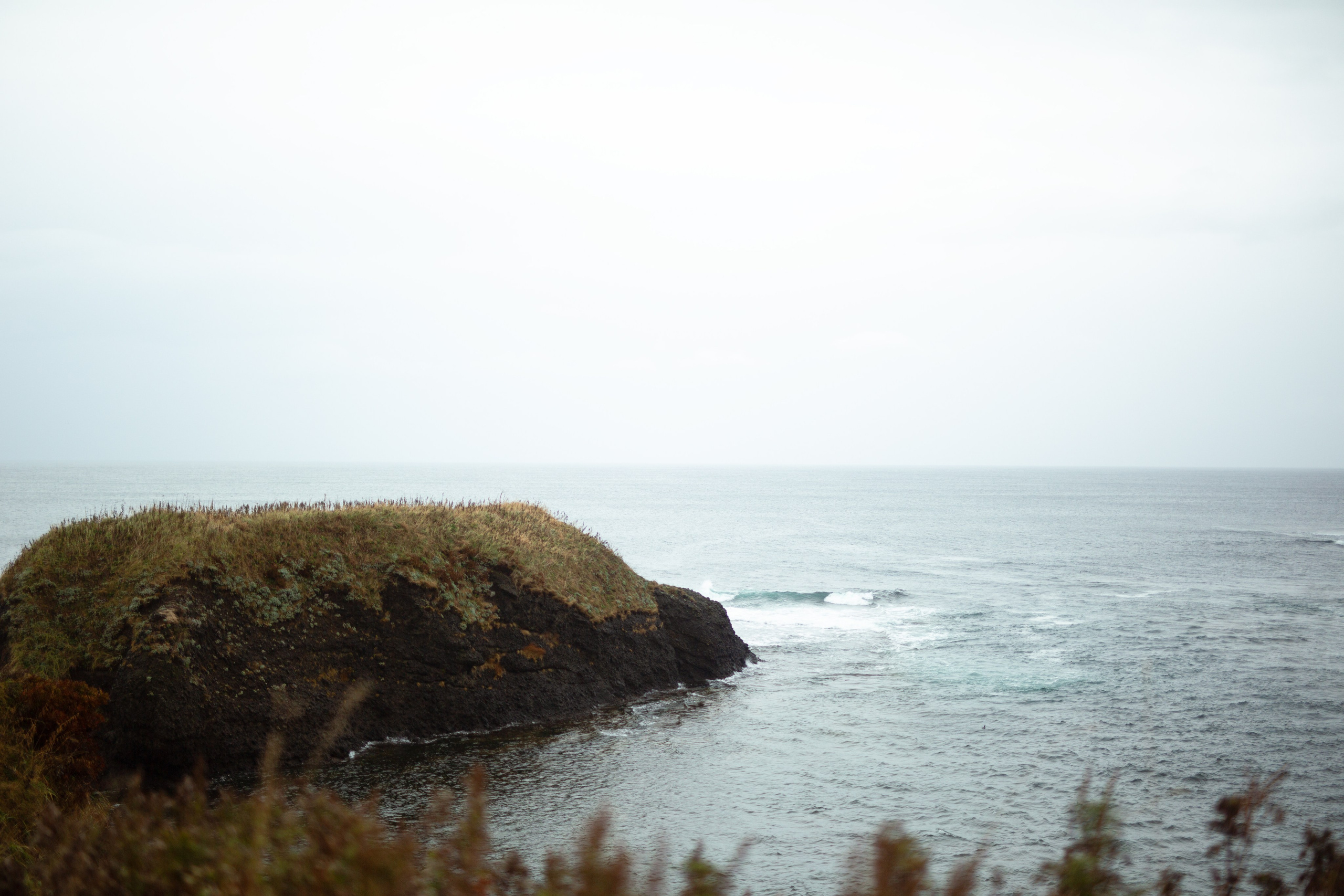 Фотограф Даша Омельченко