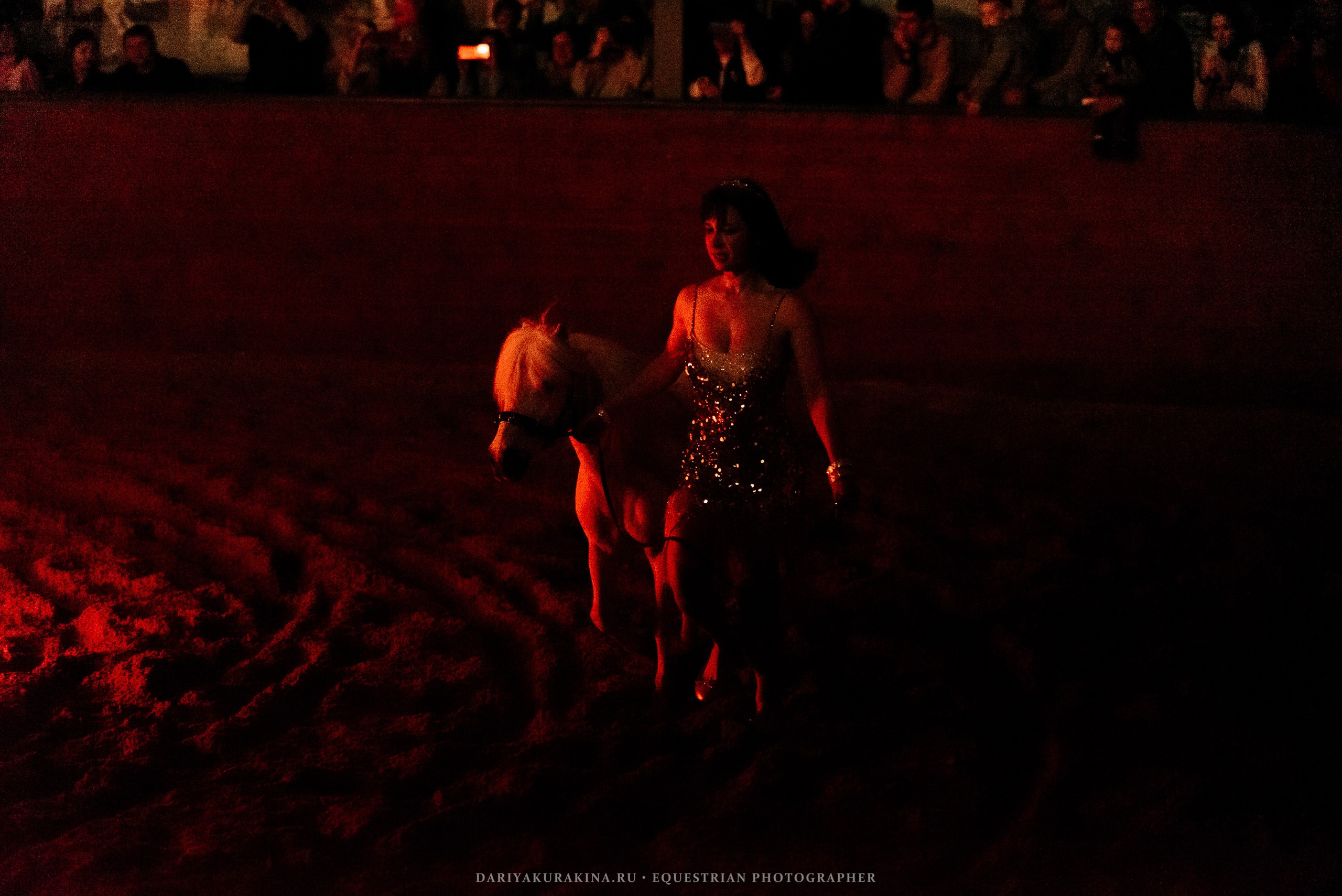 Конное представление «Дыхание Звёзд». Конный фотограф Куракина Дарья • Фотосессии с лошадьми