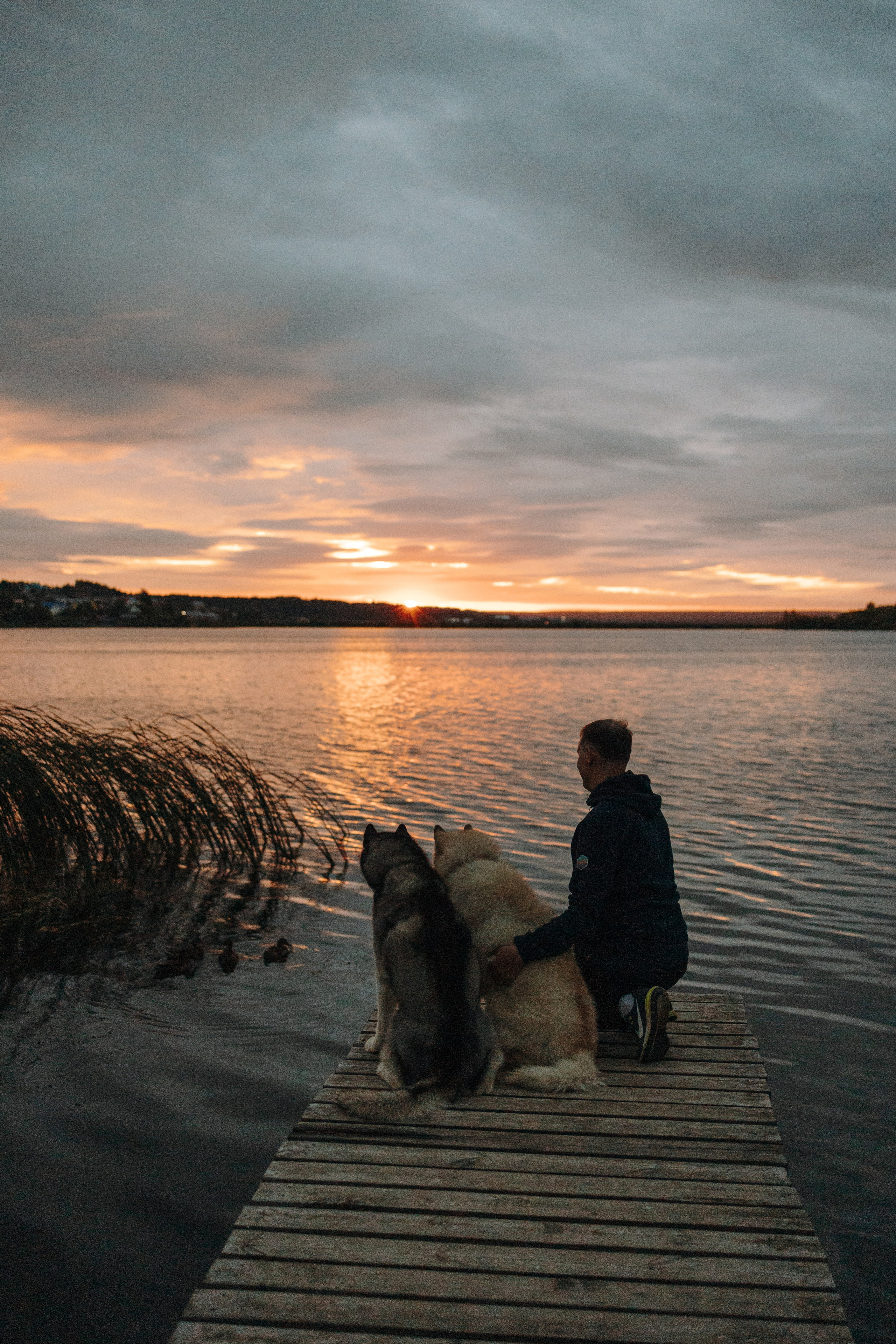 Дом у реки. Фотограф — Анималист | Санкт-Петербург