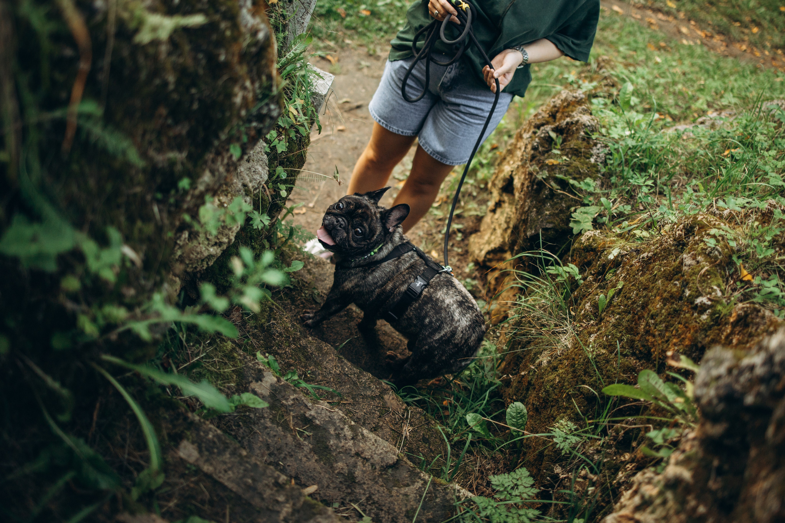 Олеся и Луи. Фотограф — Анималист | Санкт-Петербург
