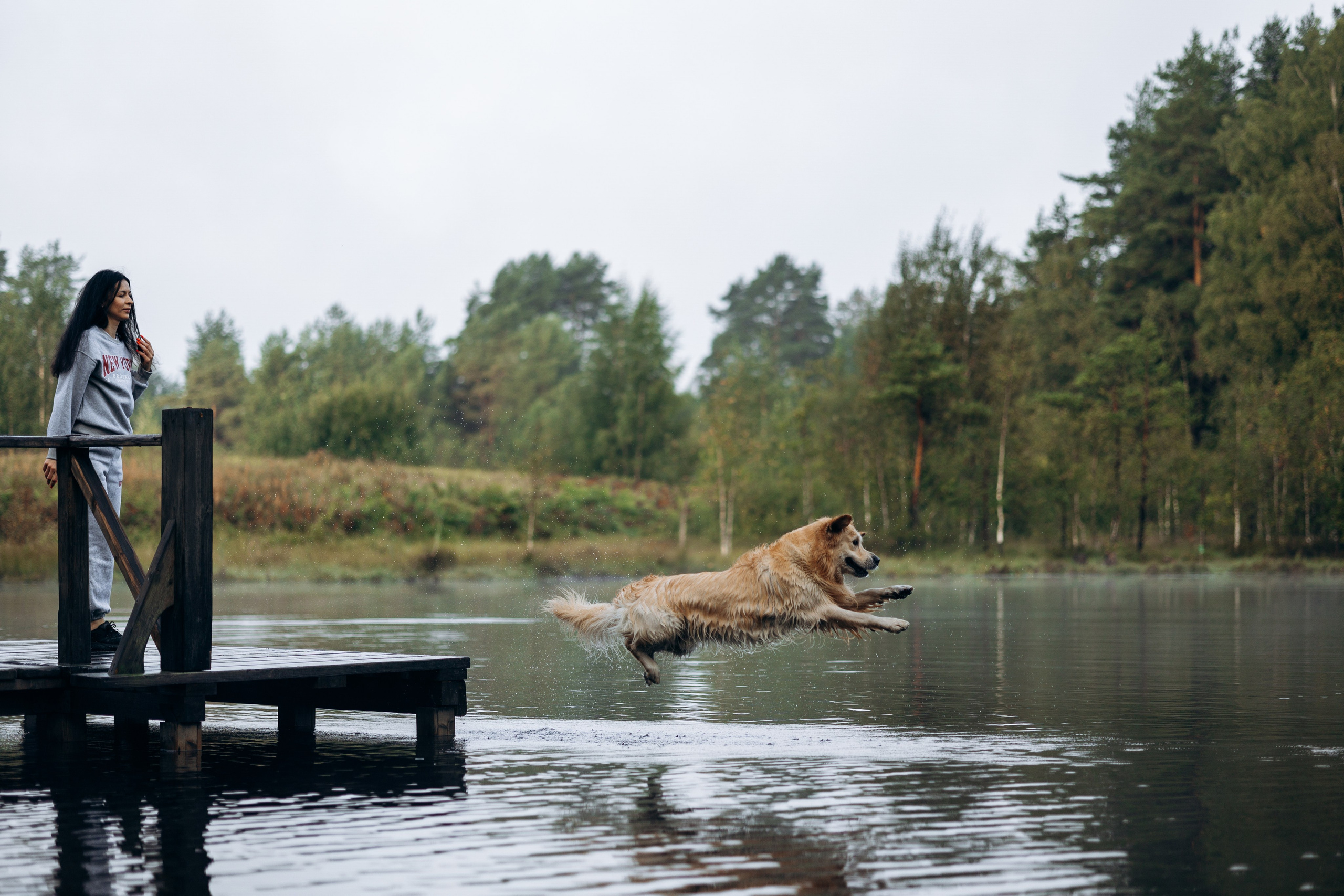 Лёва и его семья. Фотограф — Анималист | Санкт-Петербург