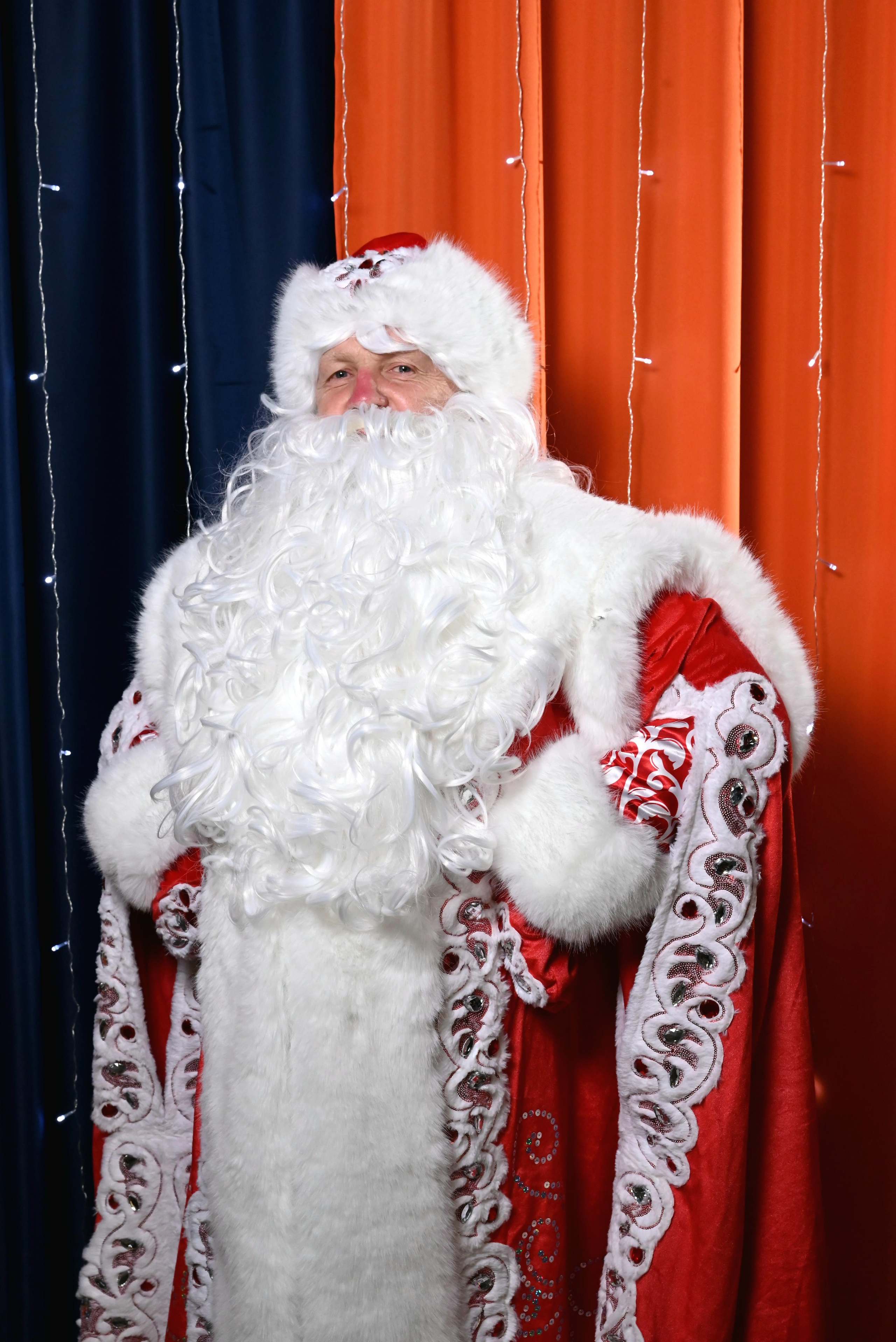 Дед Мороз и Снегурочка. Девятое королевство