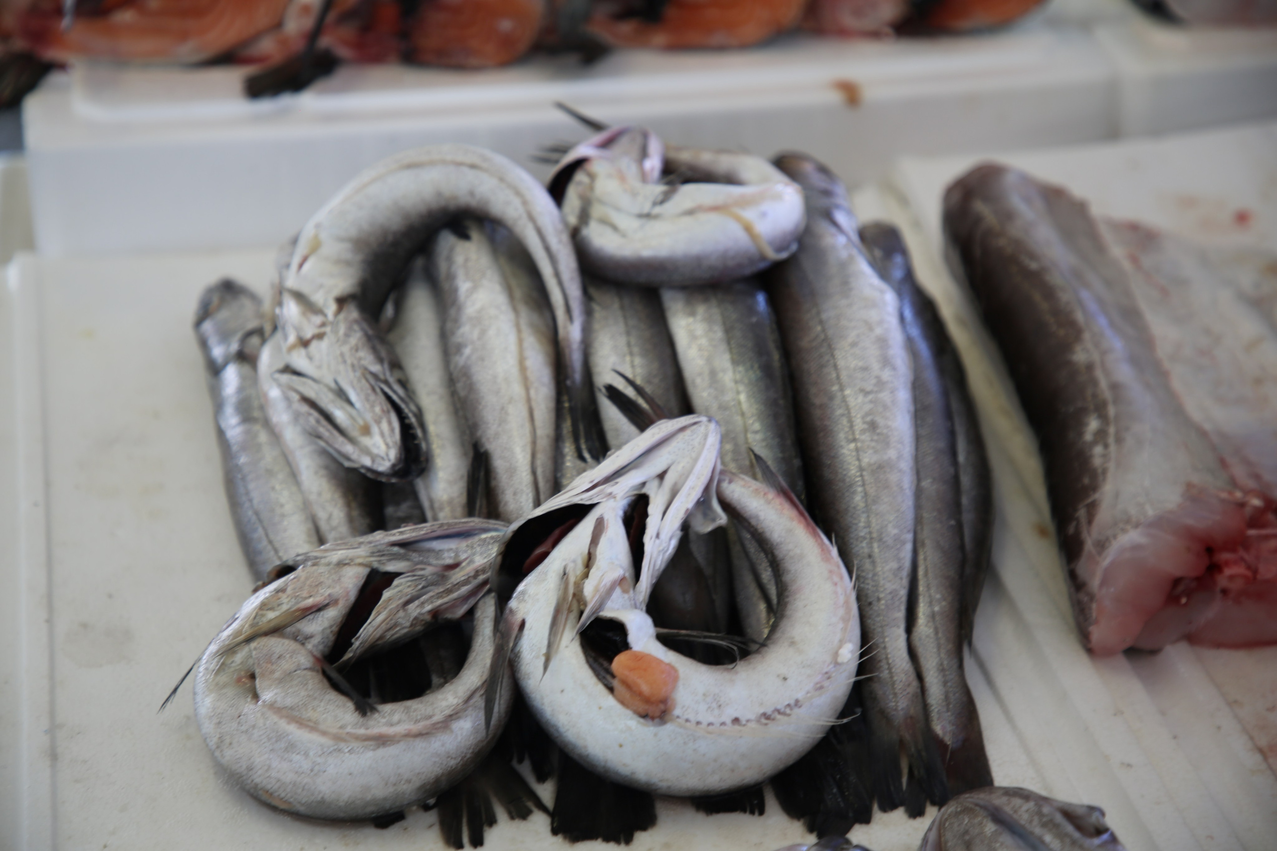 Espihnio, Portugal. Andrey Filippov Photographer