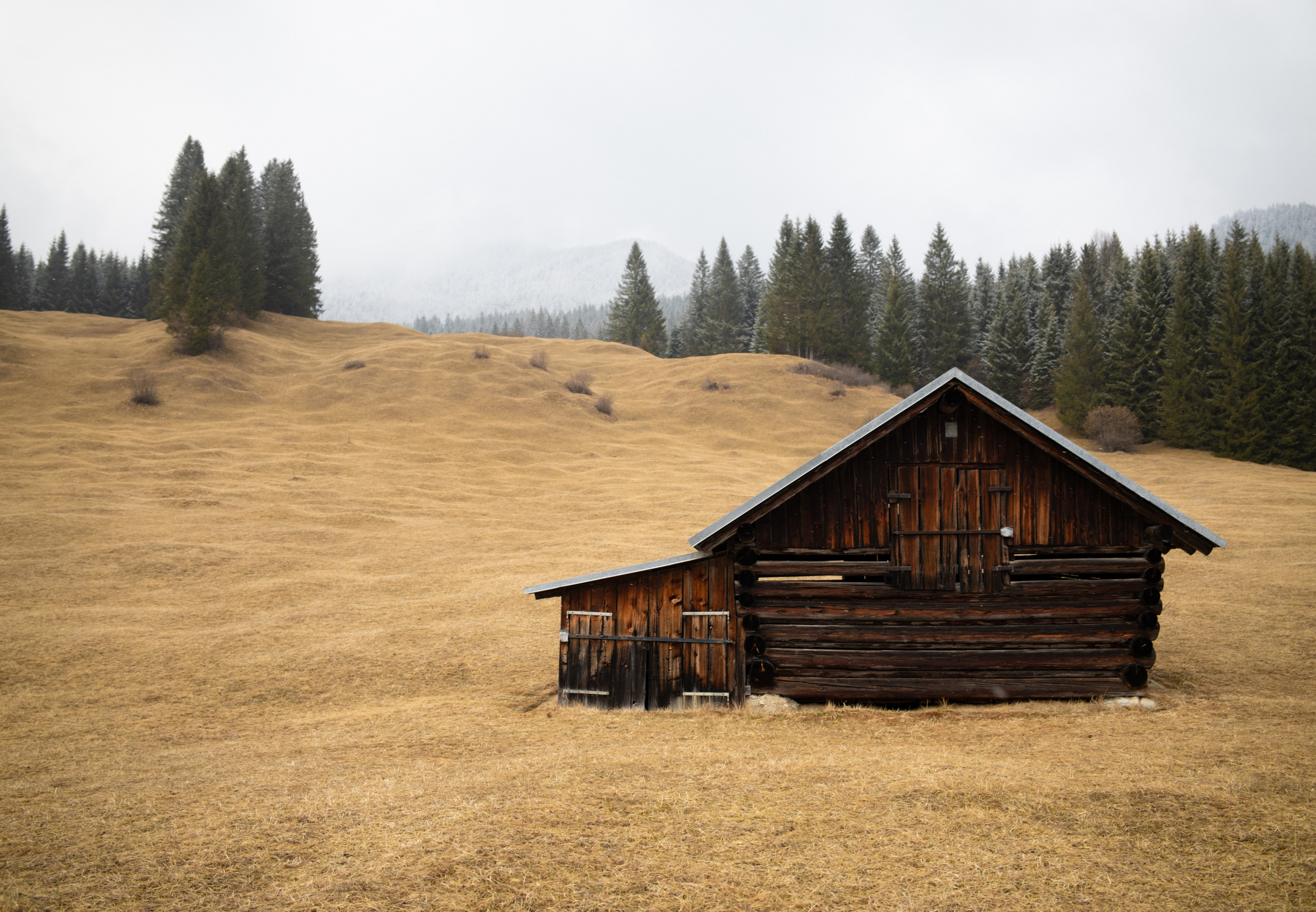 Schott N.Y.C. Dieci production