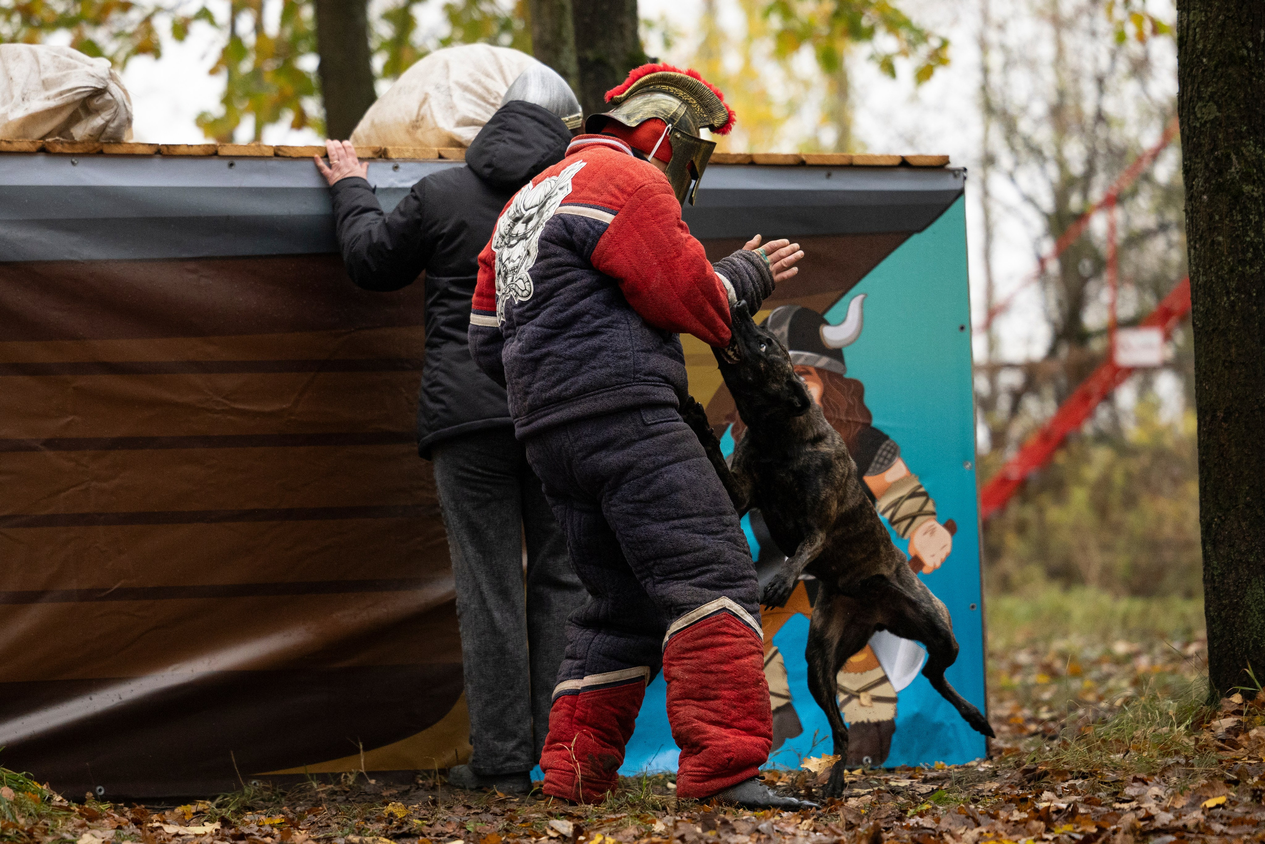 Соревнования по Мондьорингу г. Вологда. Фотограф-анималист Анна Маринич
