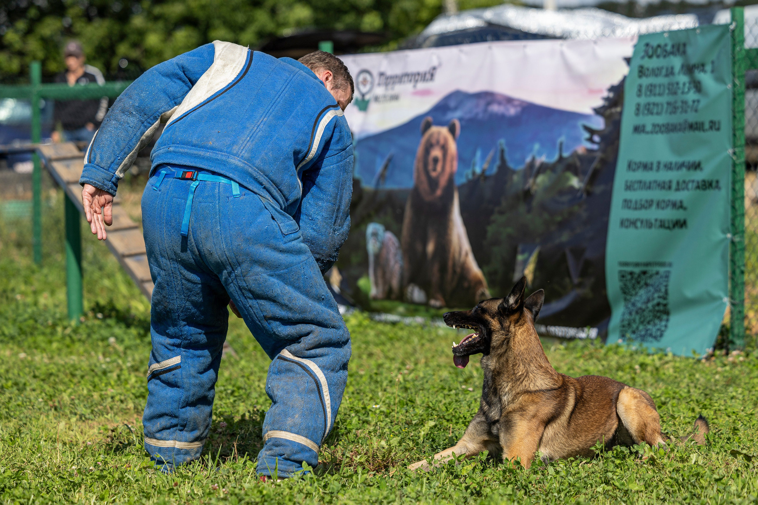 Соревнования по Мондьорингу г. Вологда 10-11.08.2024. Фотограф-анималист Анна Маринич