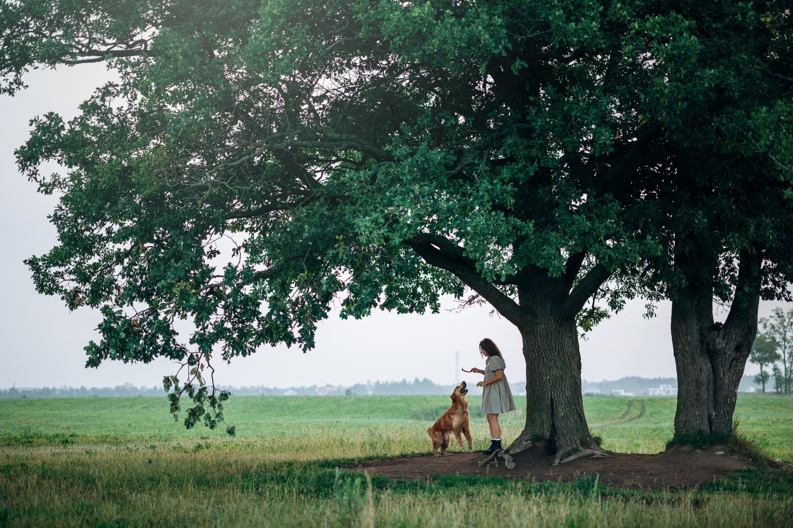 Аня и Ноллан. Фотограф — Анималист | Санкт-Петербург