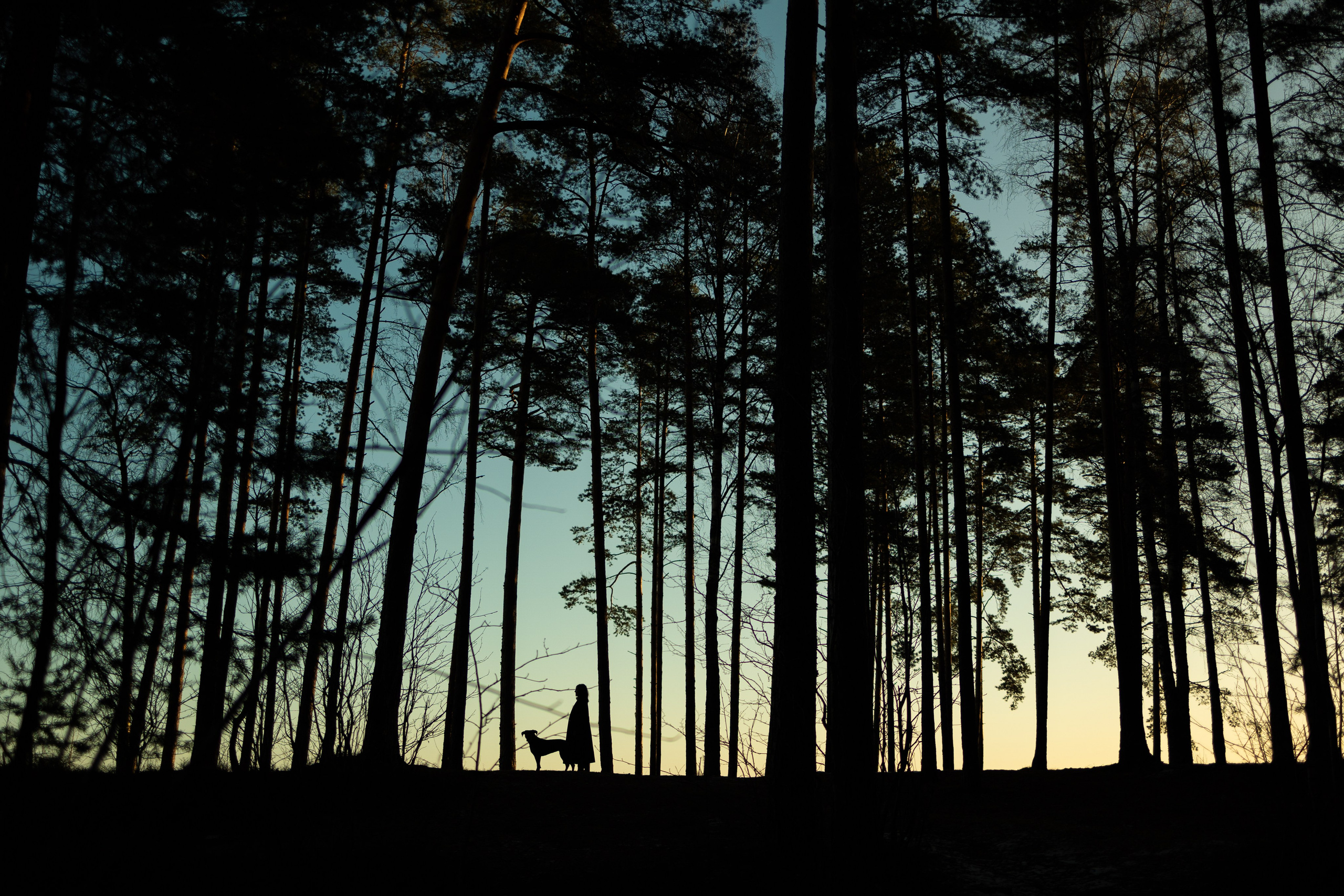 Анна и Лана. Фотограф — Анималист | Санкт-Петербург