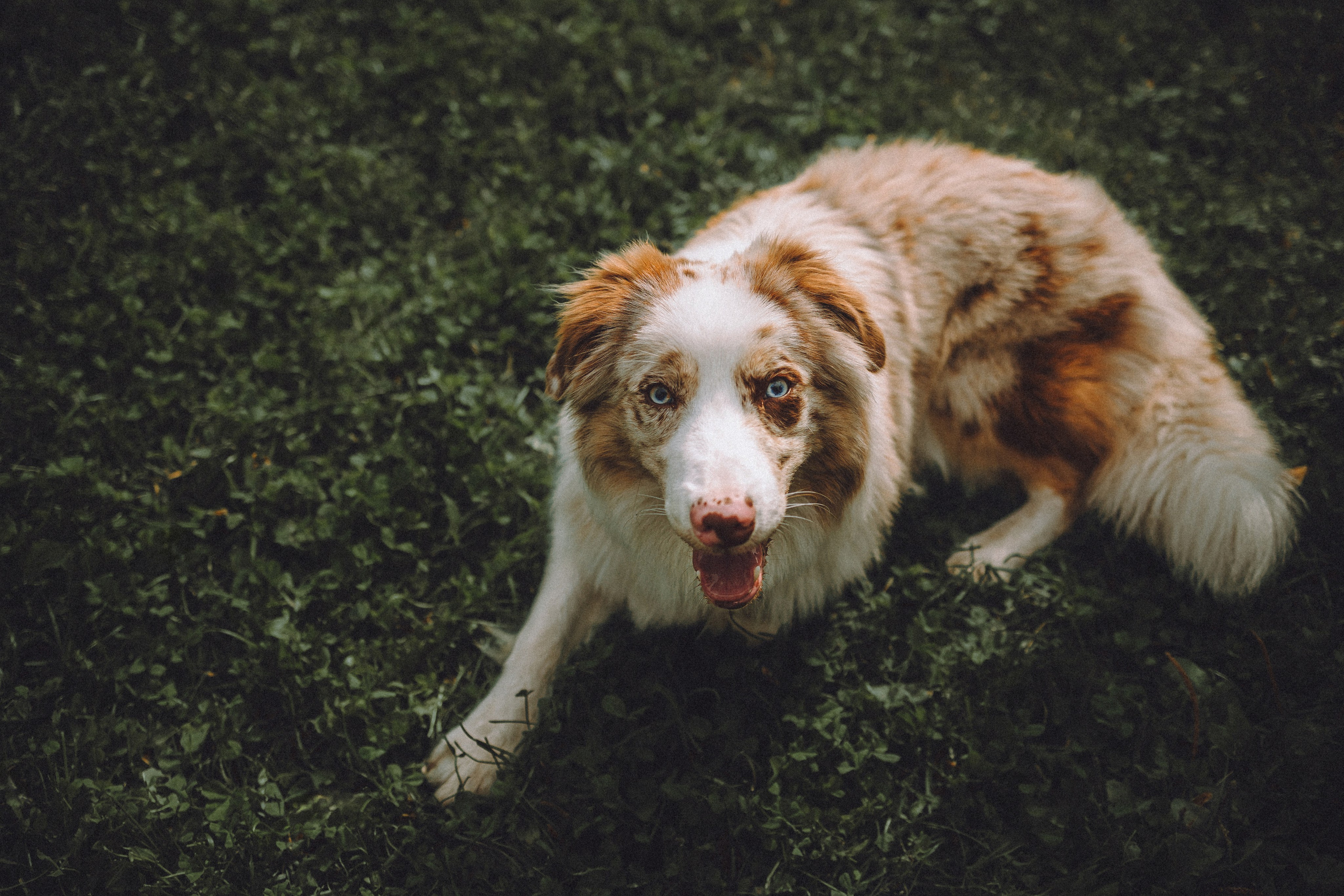 Один и его семья