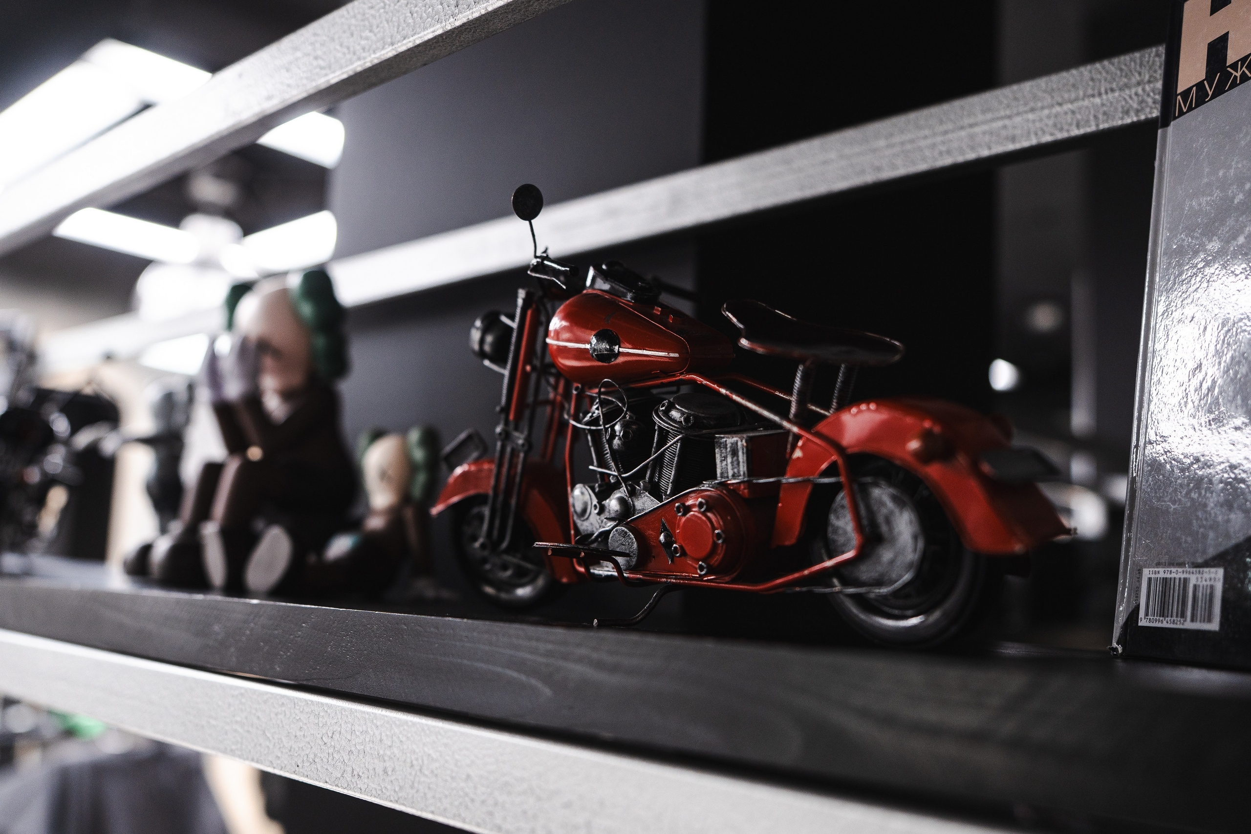 Nordmen. Фотограф Хабаровск