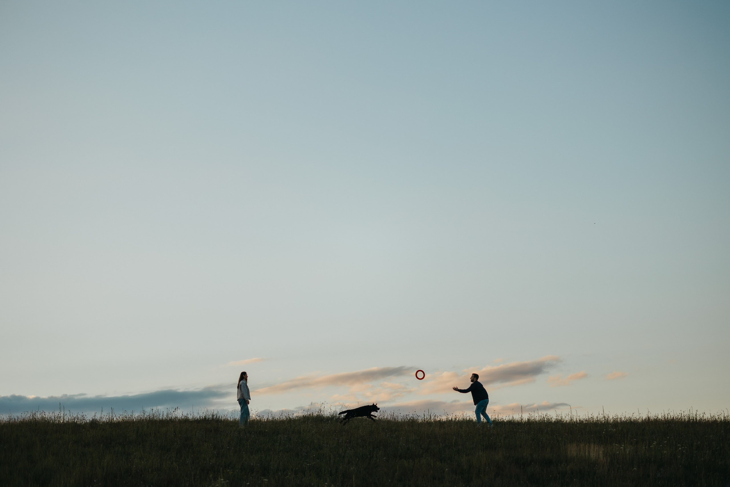 Бомбей и его семья. Фотограф — Анималист | Санкт-Петербург