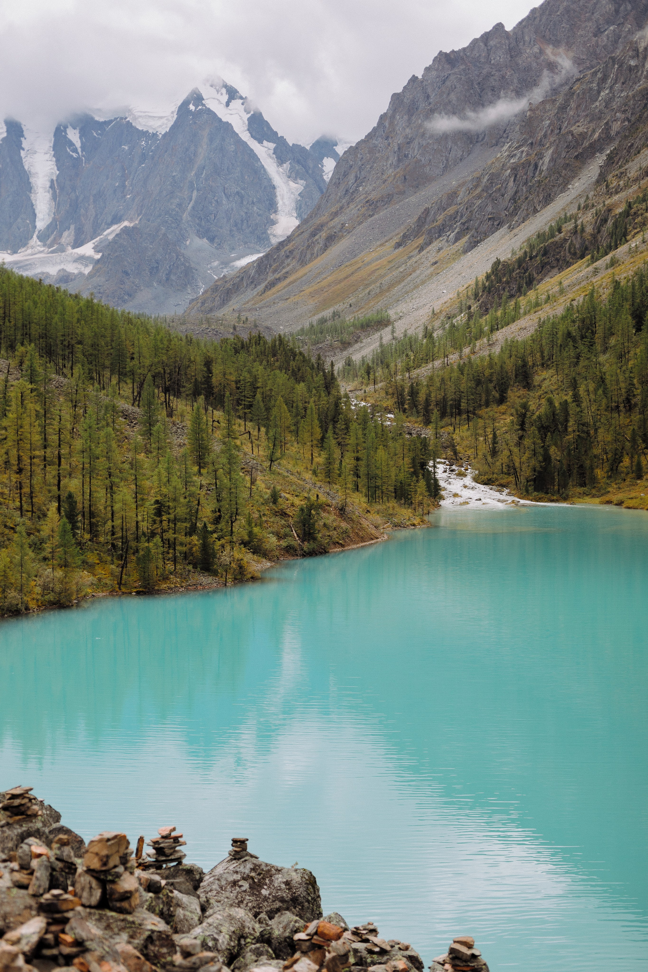 Шавлинские. Главная