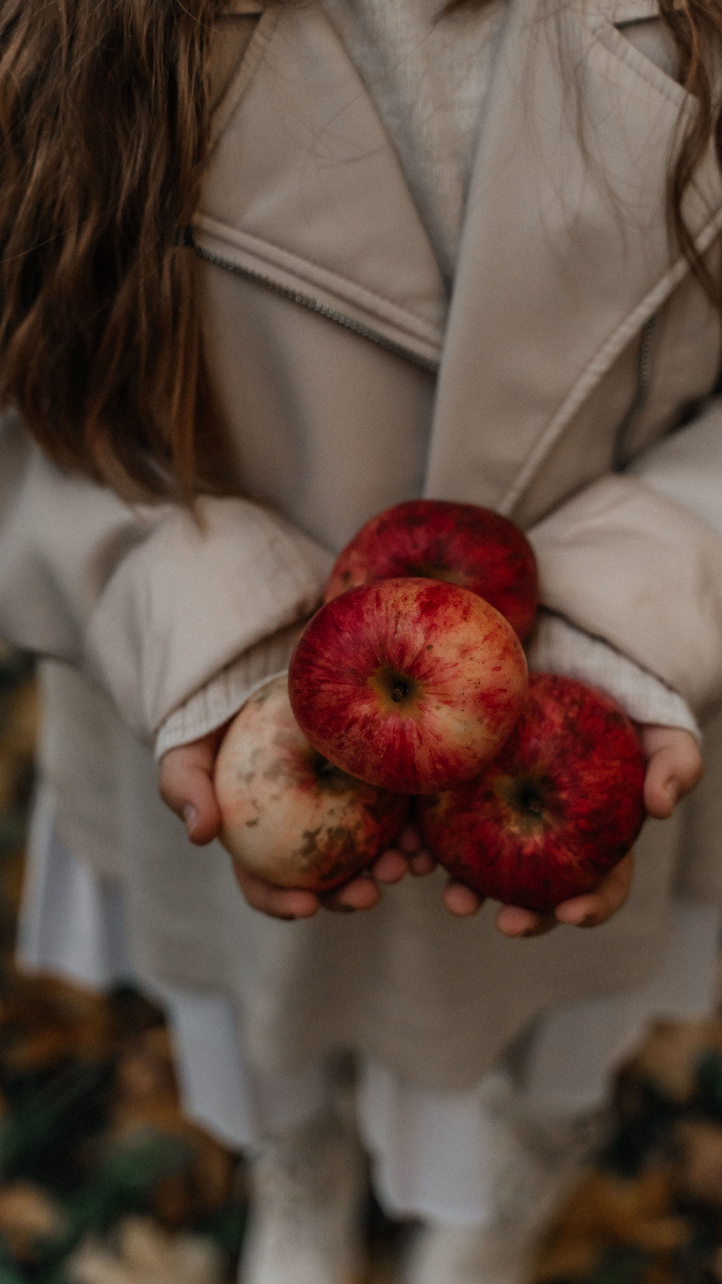 Дмитрий Елена и Виктория. Свадебный фотограф Санкт-Петербург, Сочи, Питер, Выборг, Луга, Псков