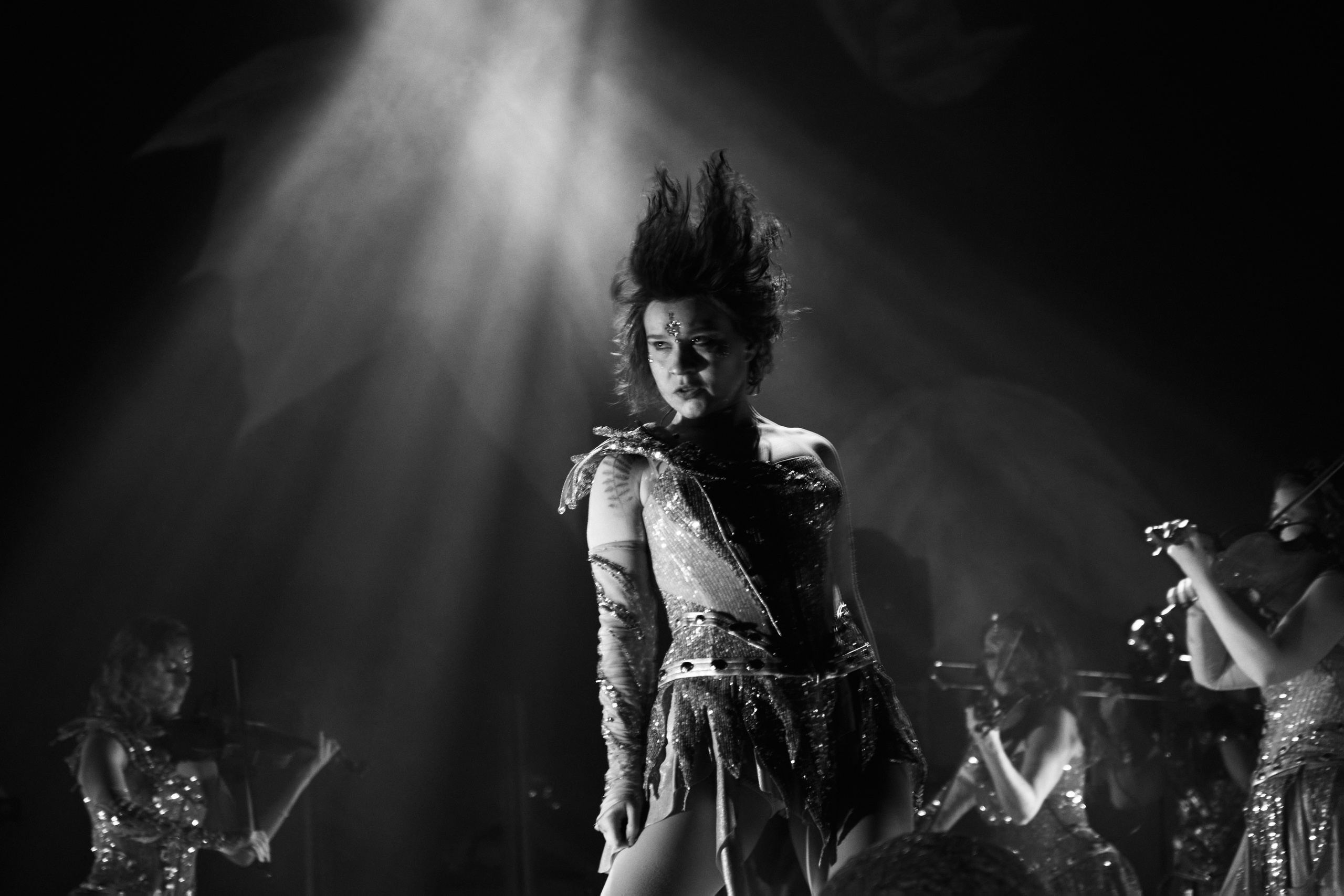 Concord orceatra. Фотограф