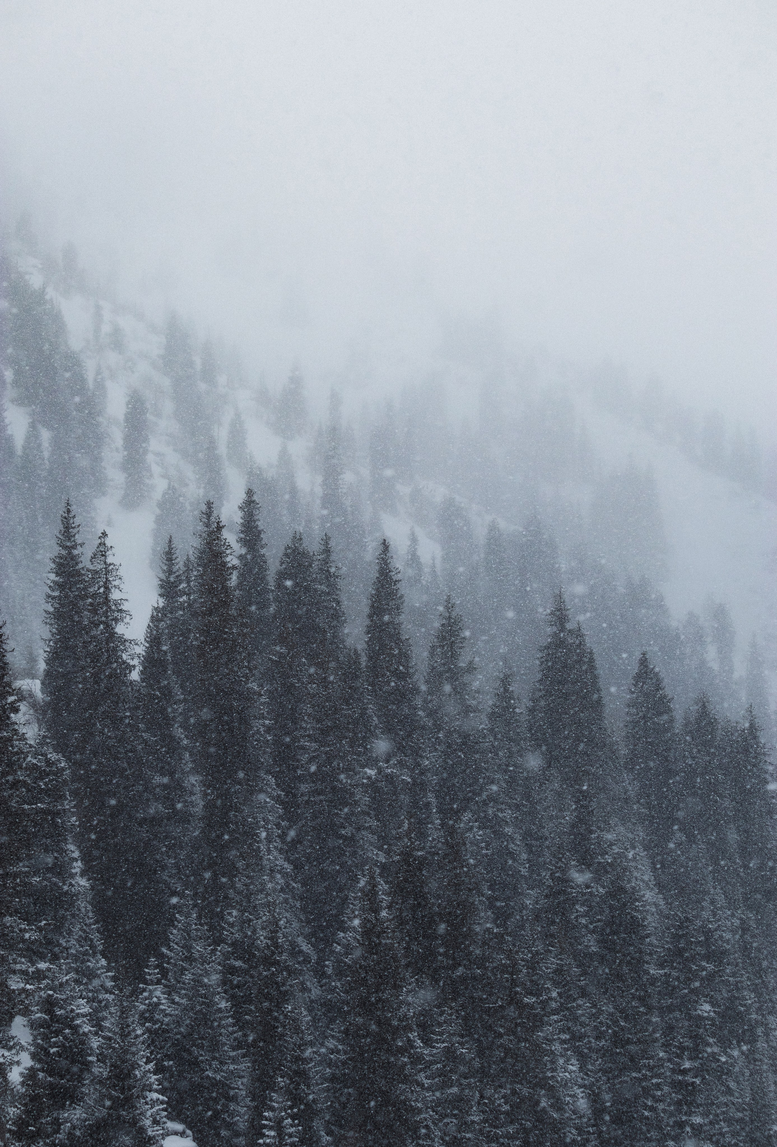 Жизнь. Фотограф Алматы | Весь мир — Никита Колодин